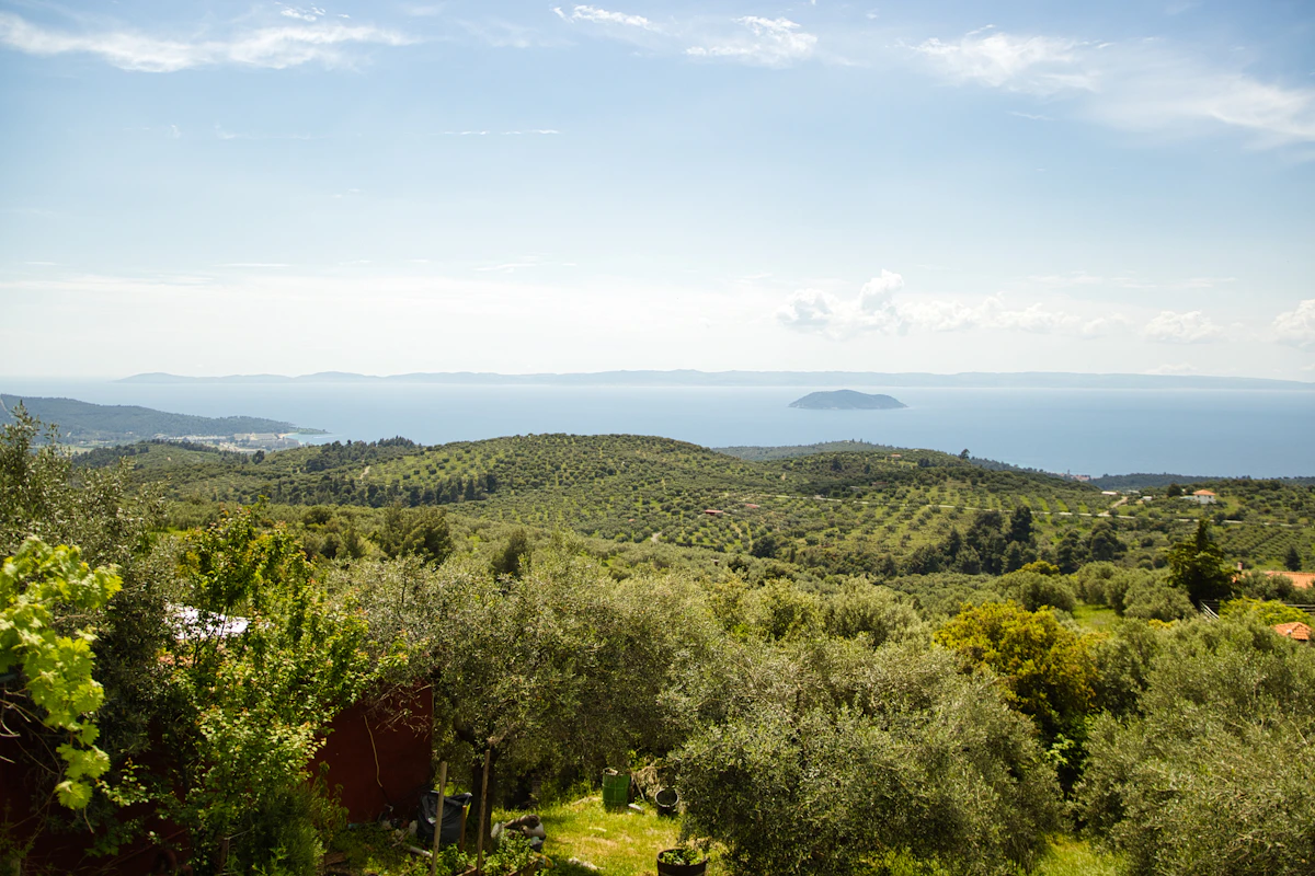 Green hills overlooking the calm blue sea near Tsilivi, Zante