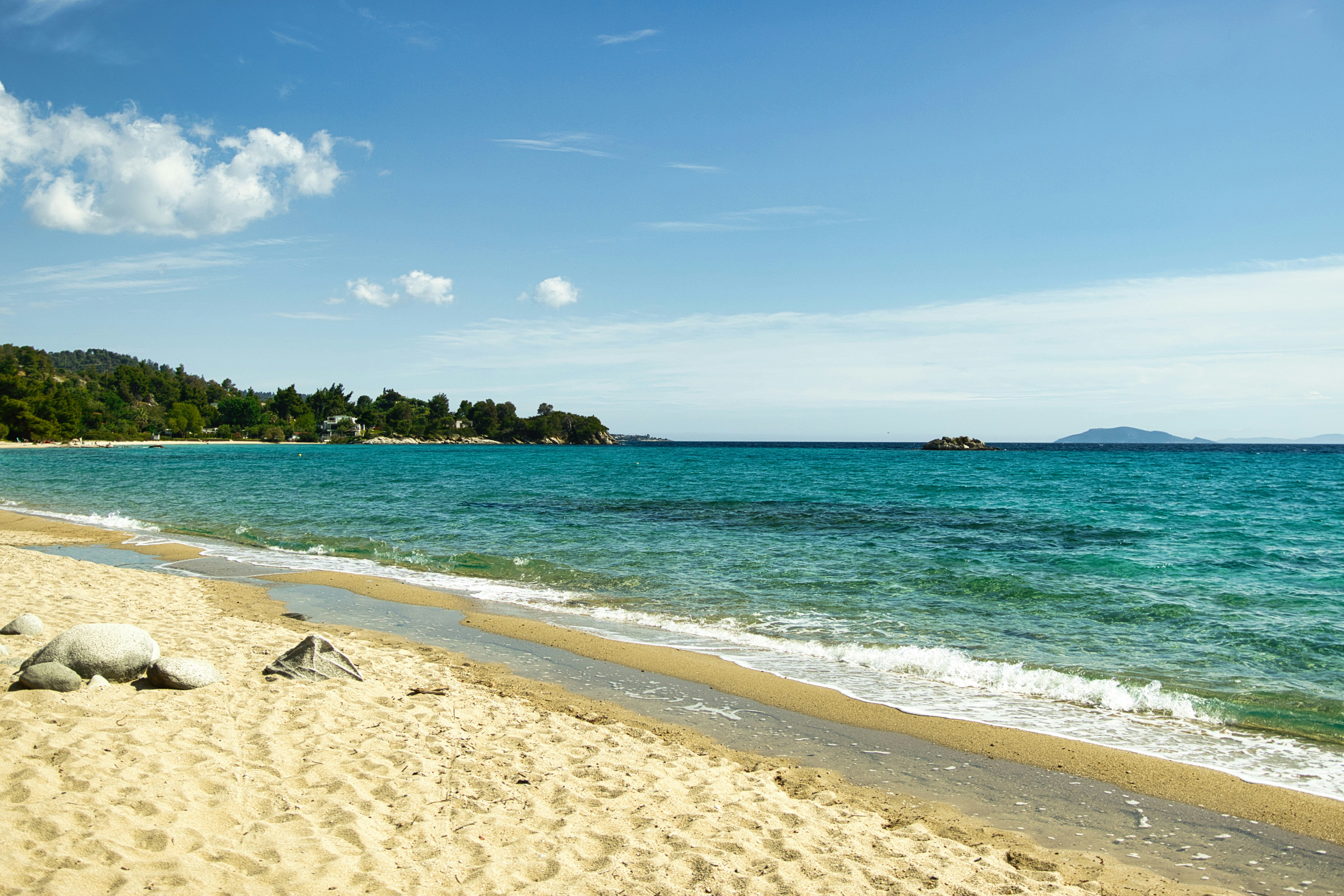 Photo by paws_and_prints