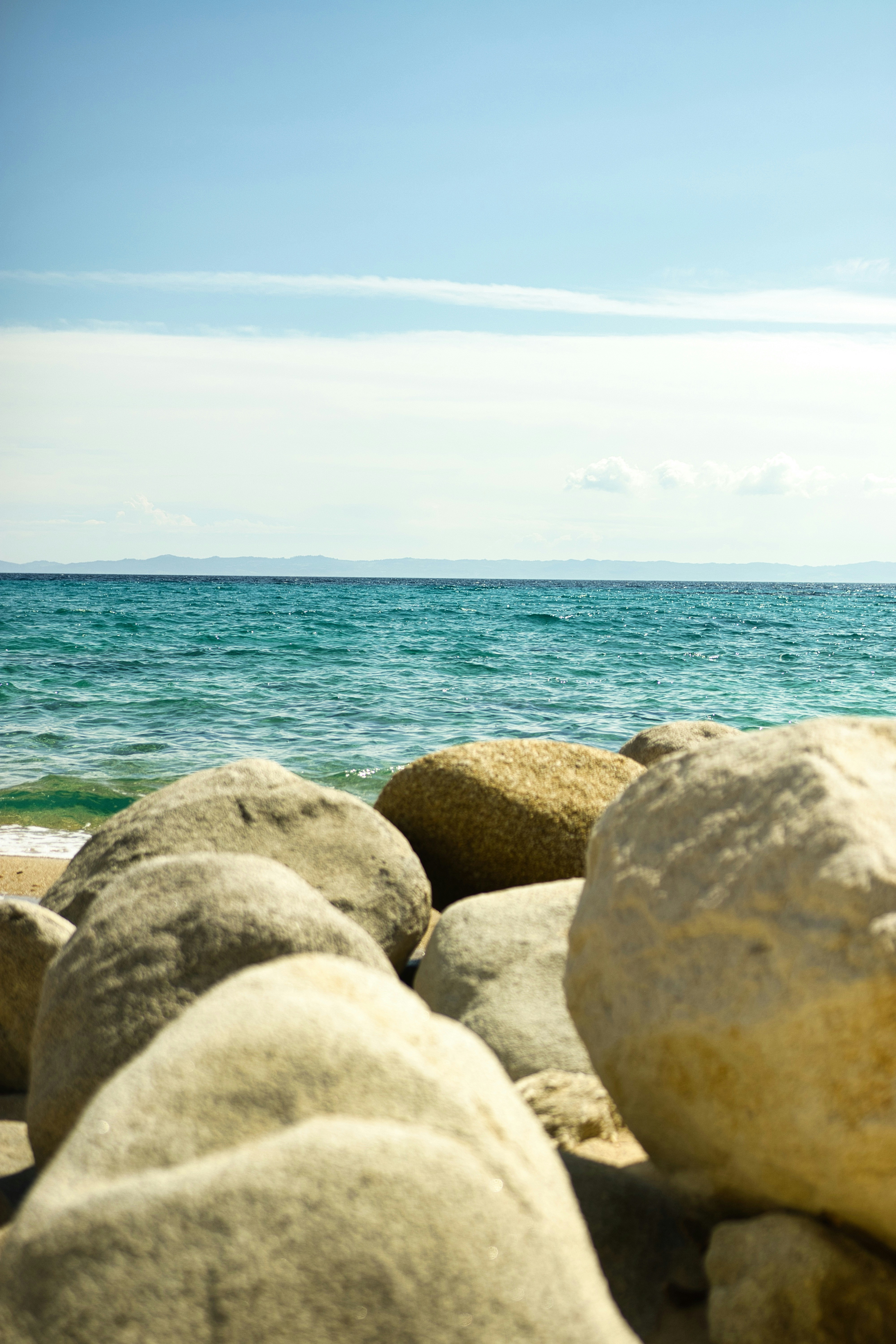 Photo by paws_and_prints