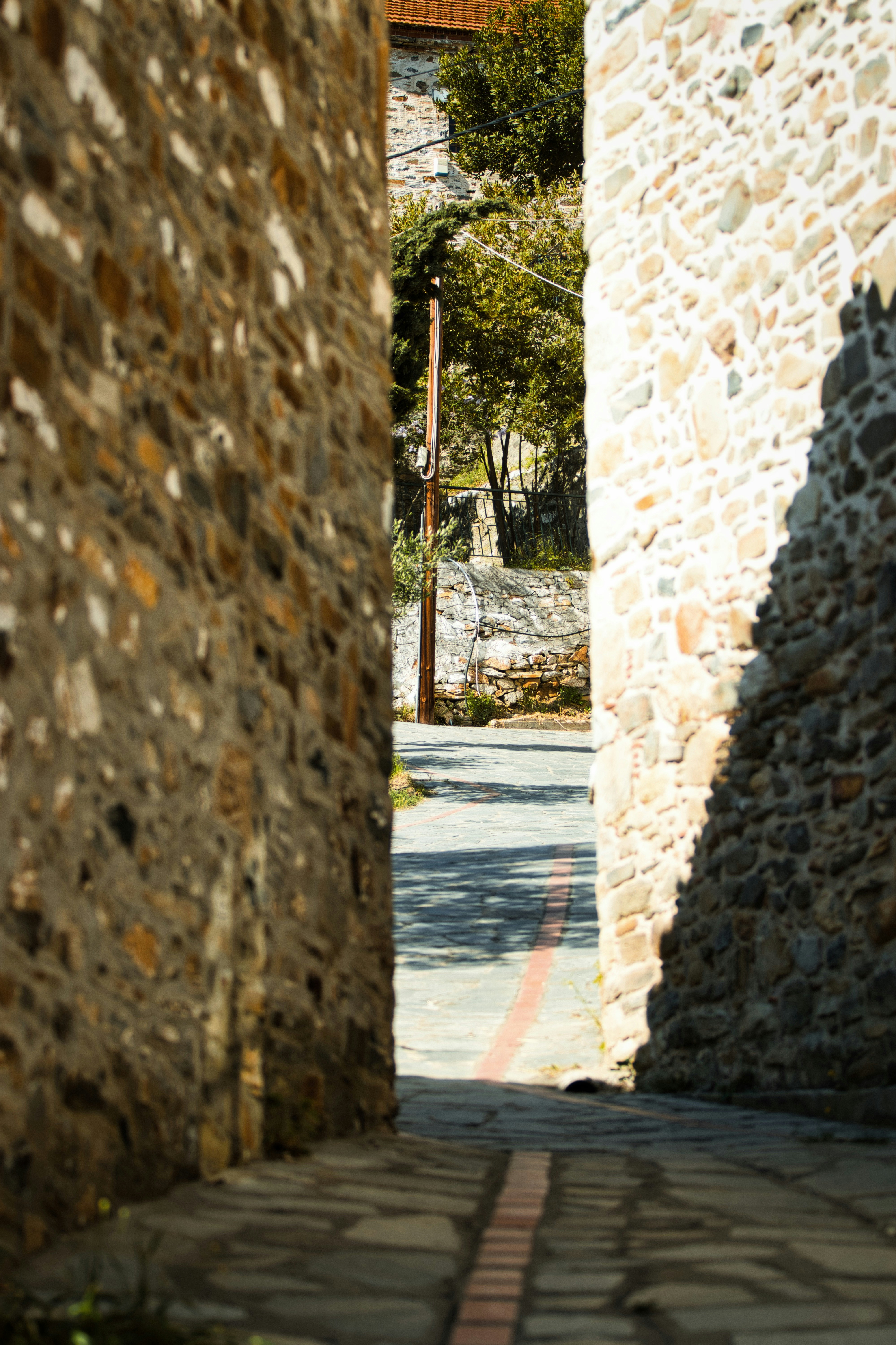 Photo by paws_and_prints