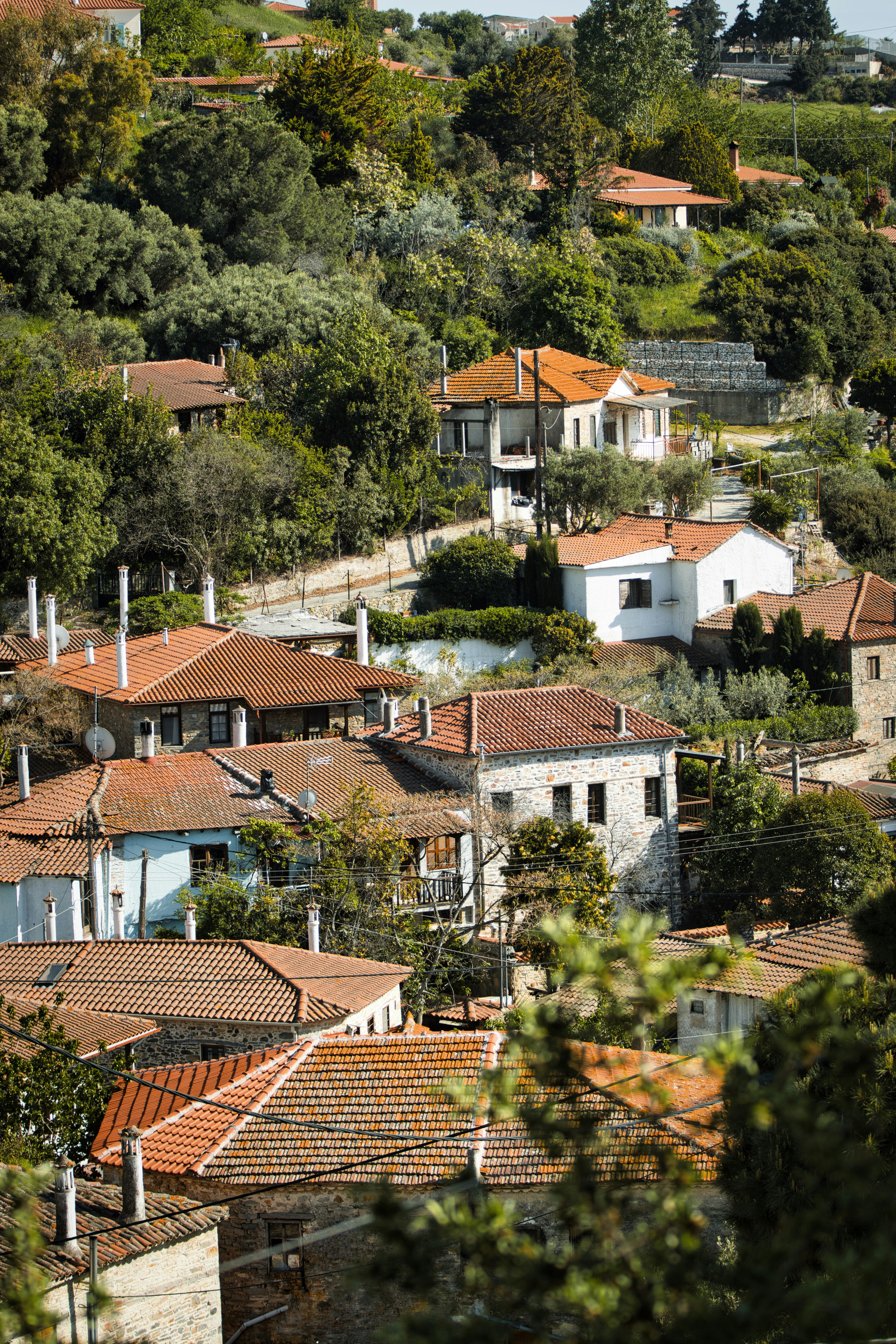 Photo by paws_and_prints