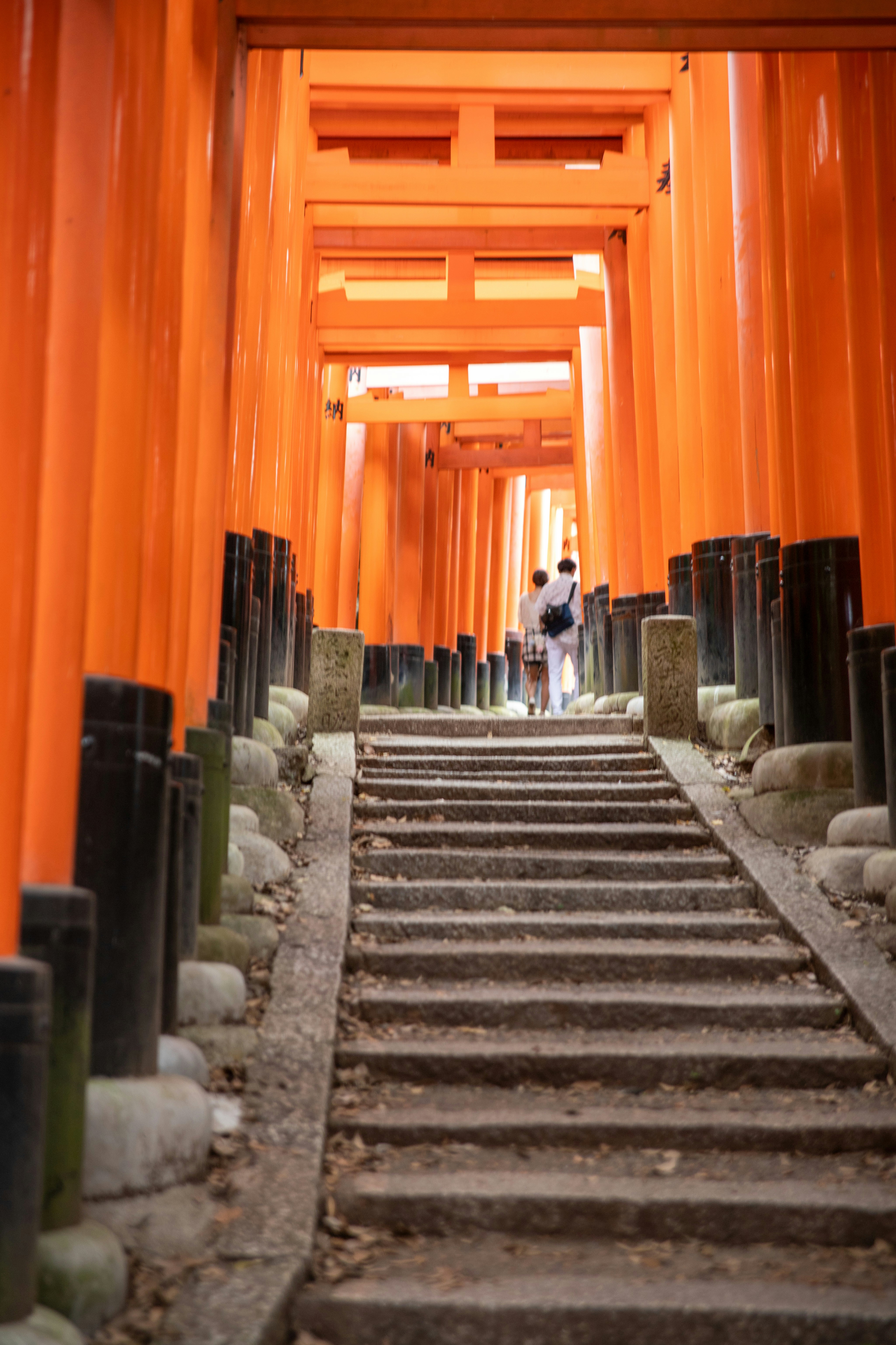 Two people walk up stairs through orange torii gates.