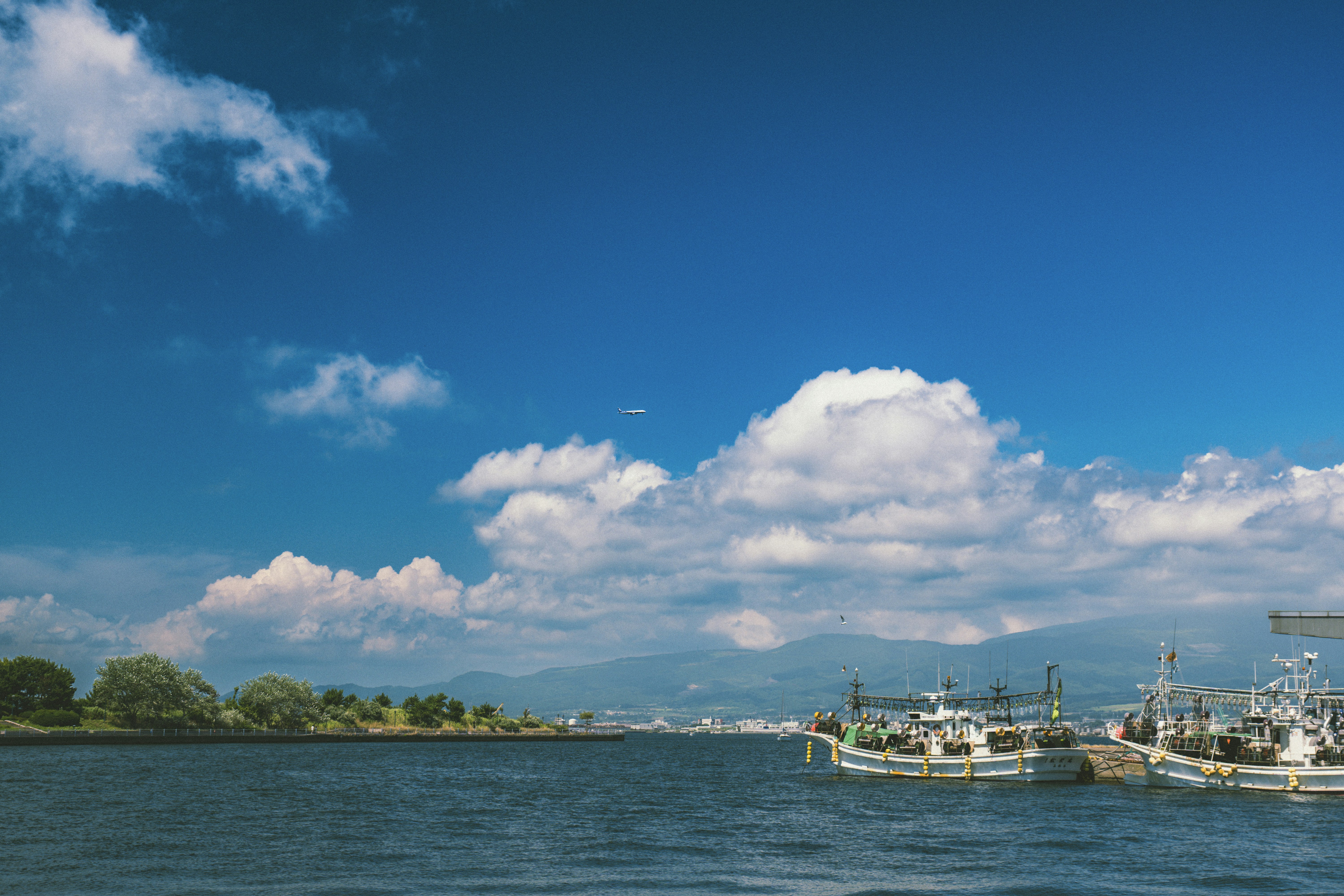 Photo by jackyfish_image