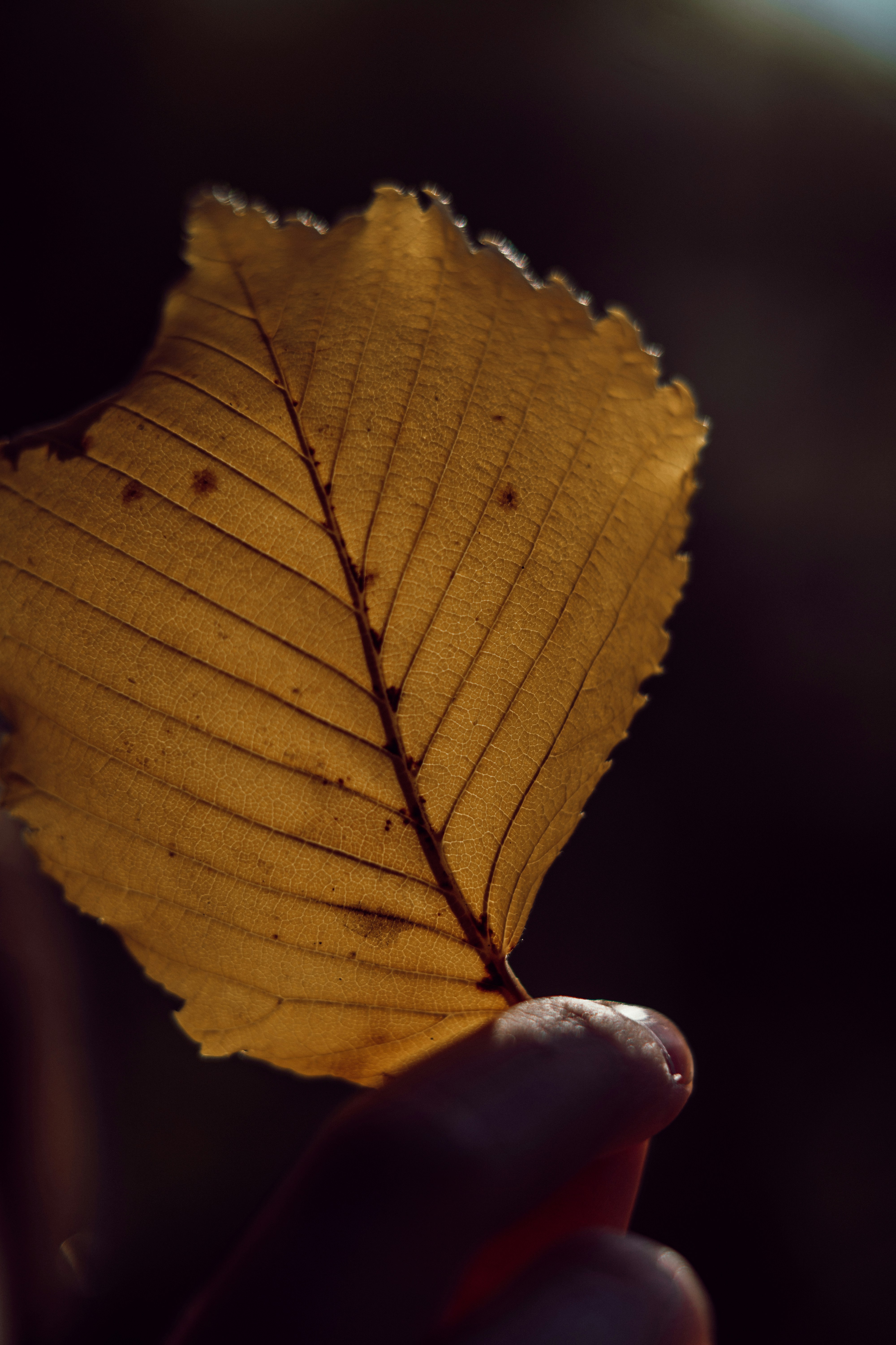 Photo by anamnesis33