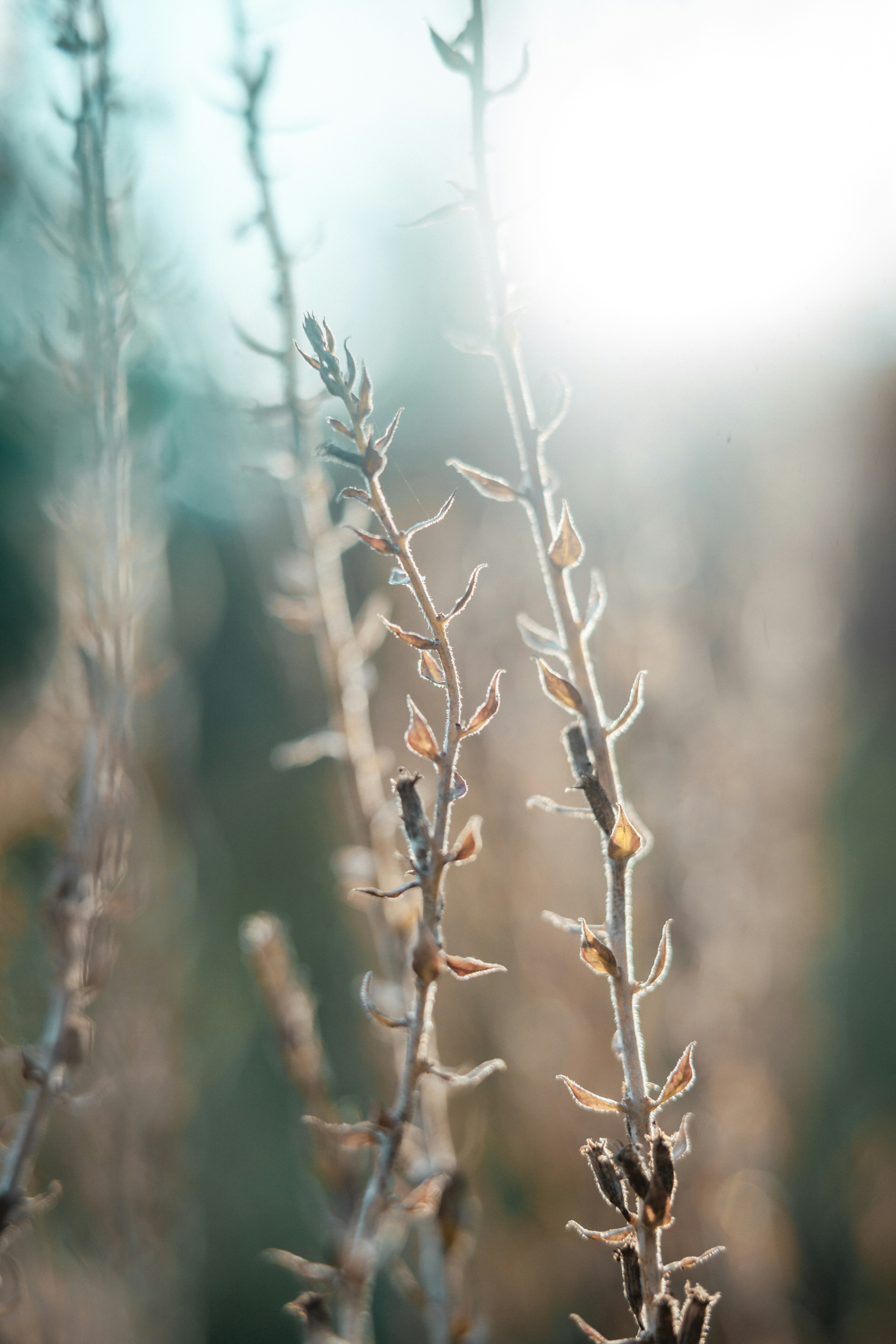 Photo by anamnesis33