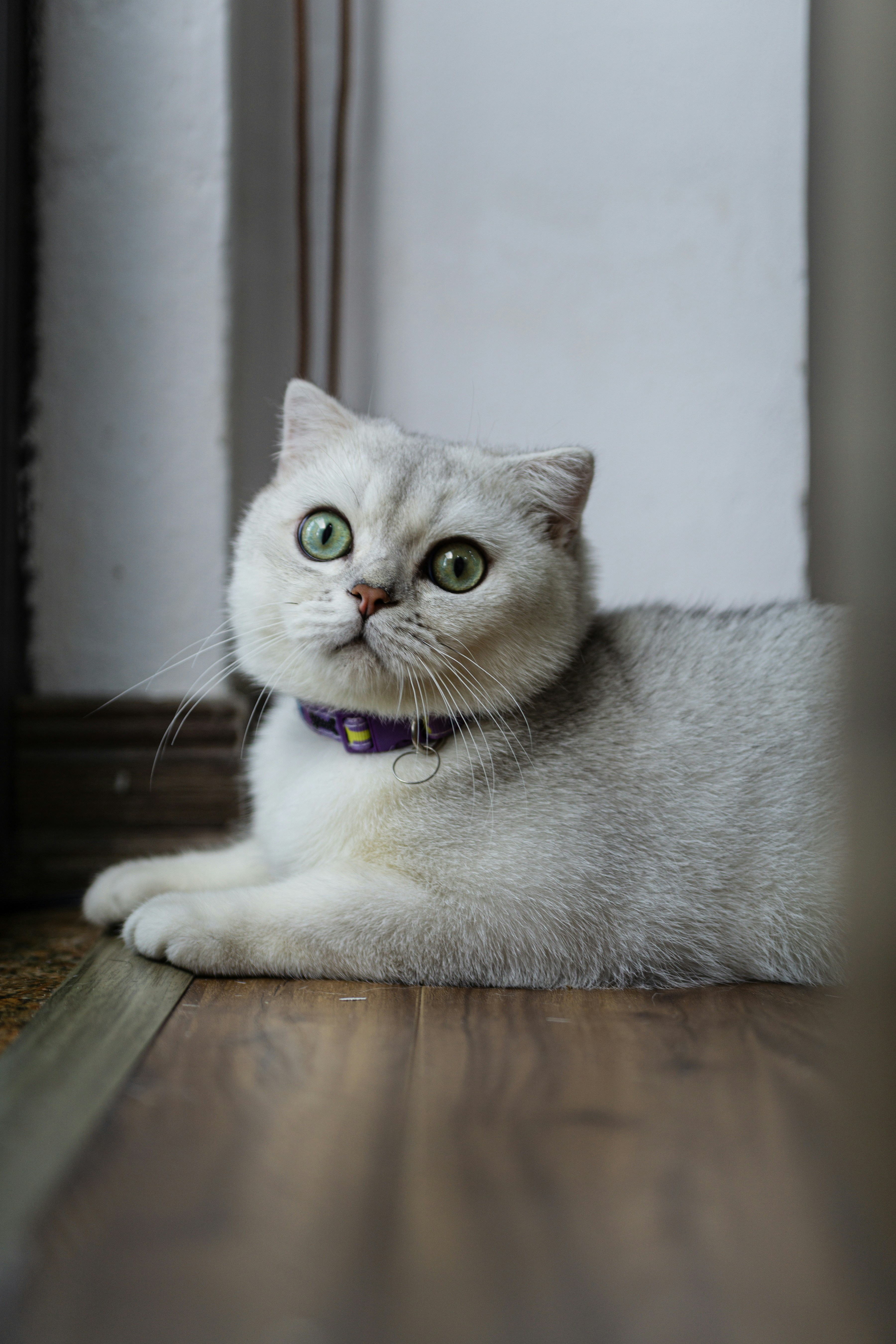 Photo by thejunefire