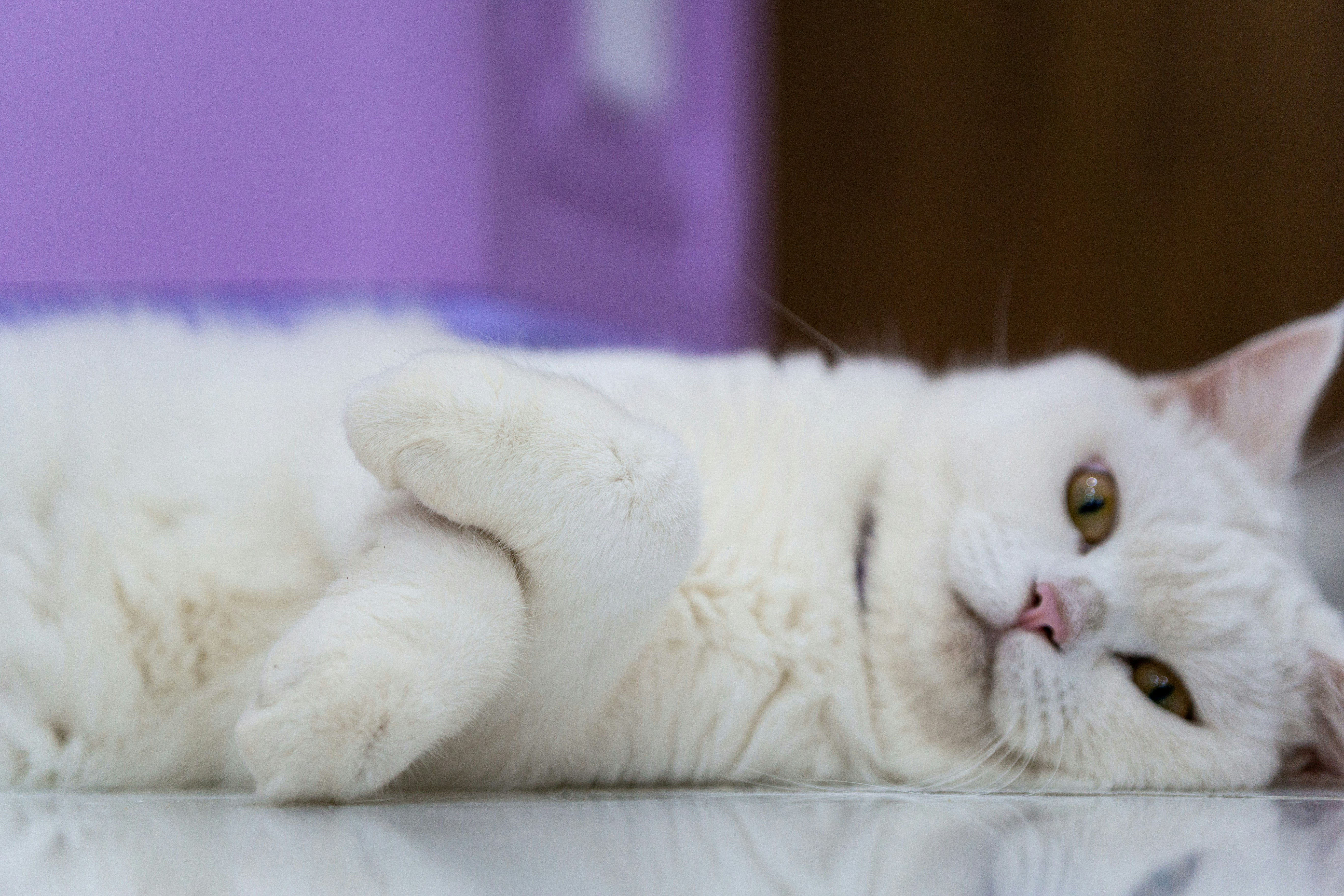 Photo by thejunefire