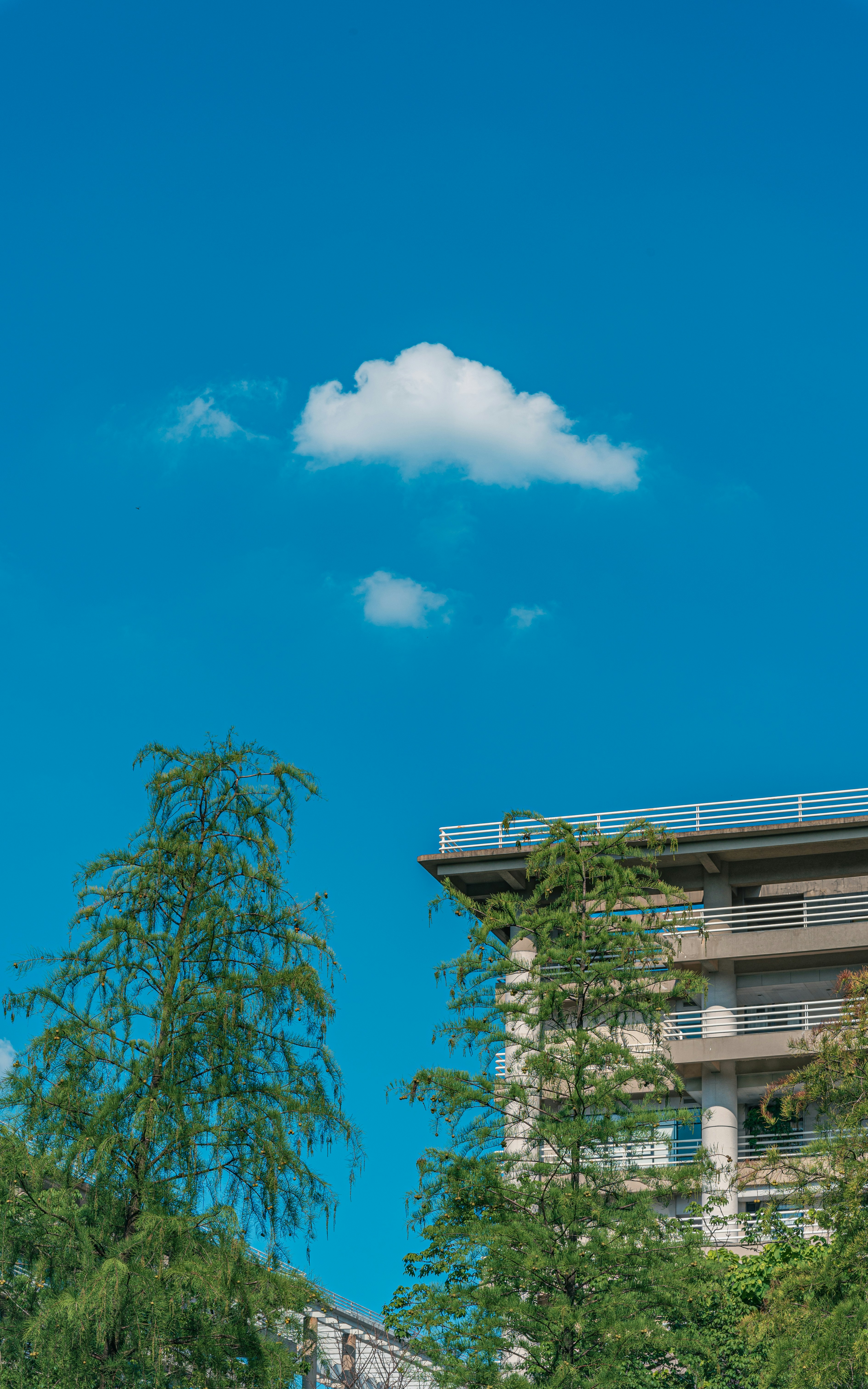 7 Weather-Related Planning Tips from Residential Solar Companies