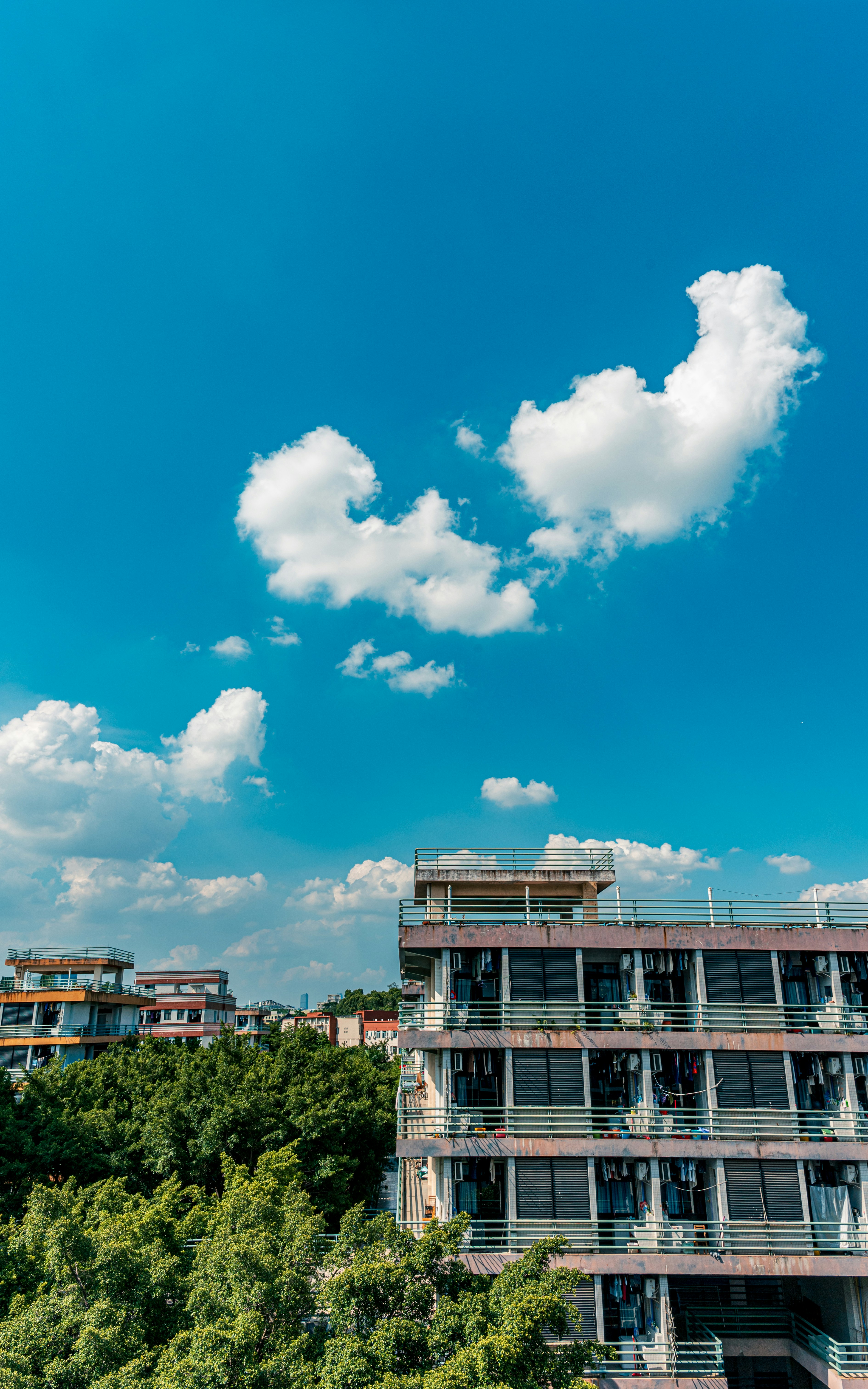 Photo by xue_zheng
