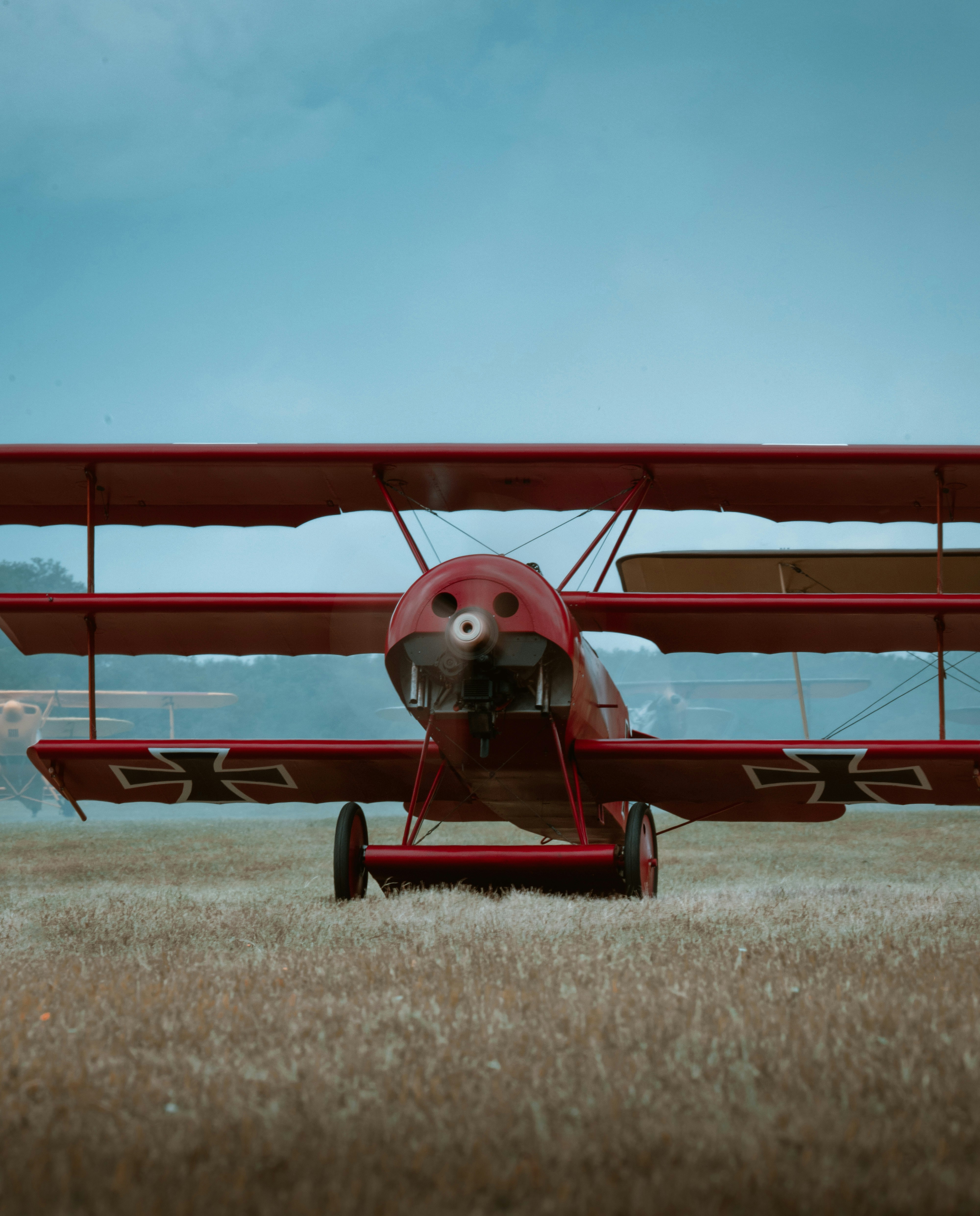 Ein roter Doppeldecker steht auf einer Wiese.