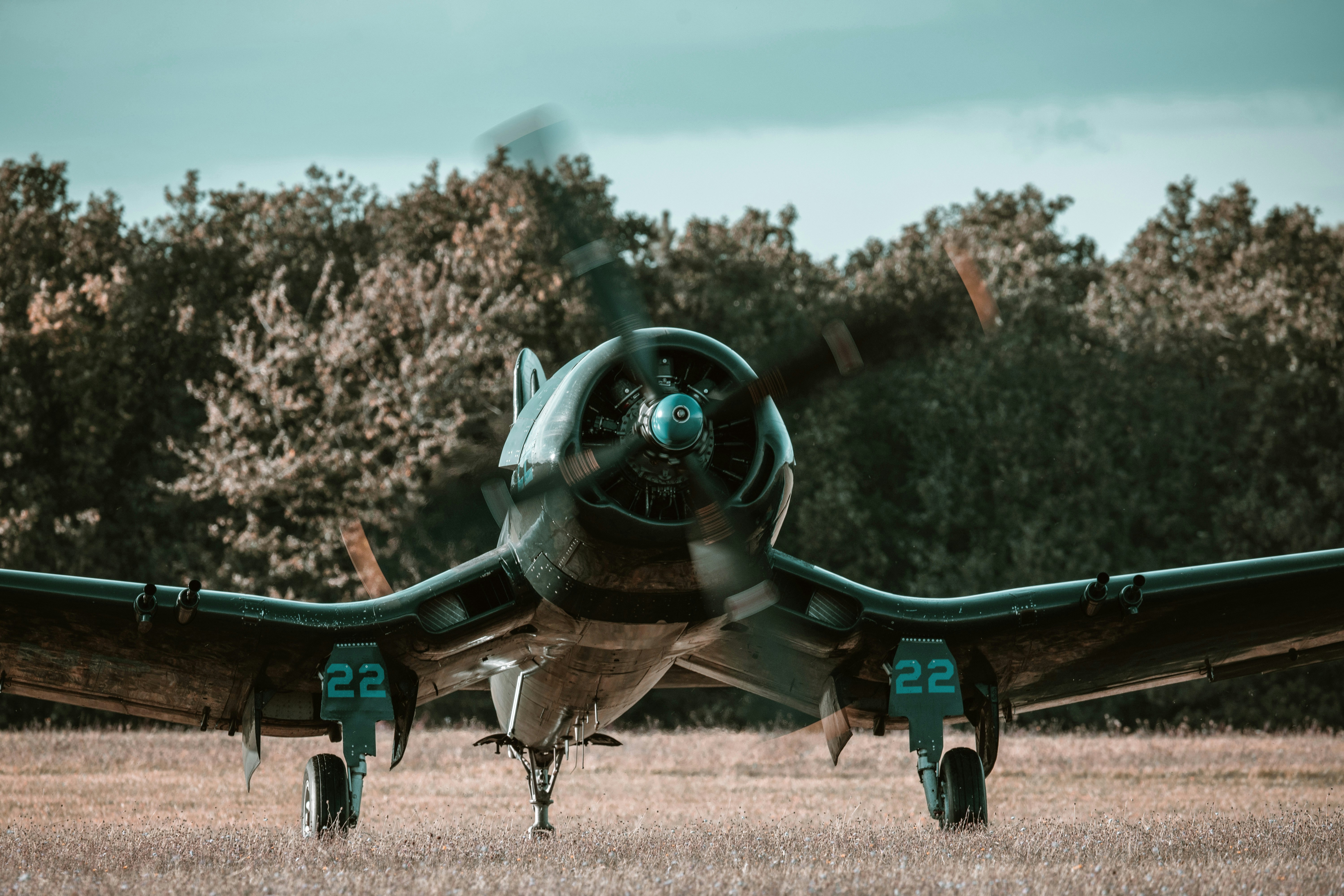 Oldtimer-Flugzeug mit drehendem Propeller auf grasbewachsenem Flugplatz.