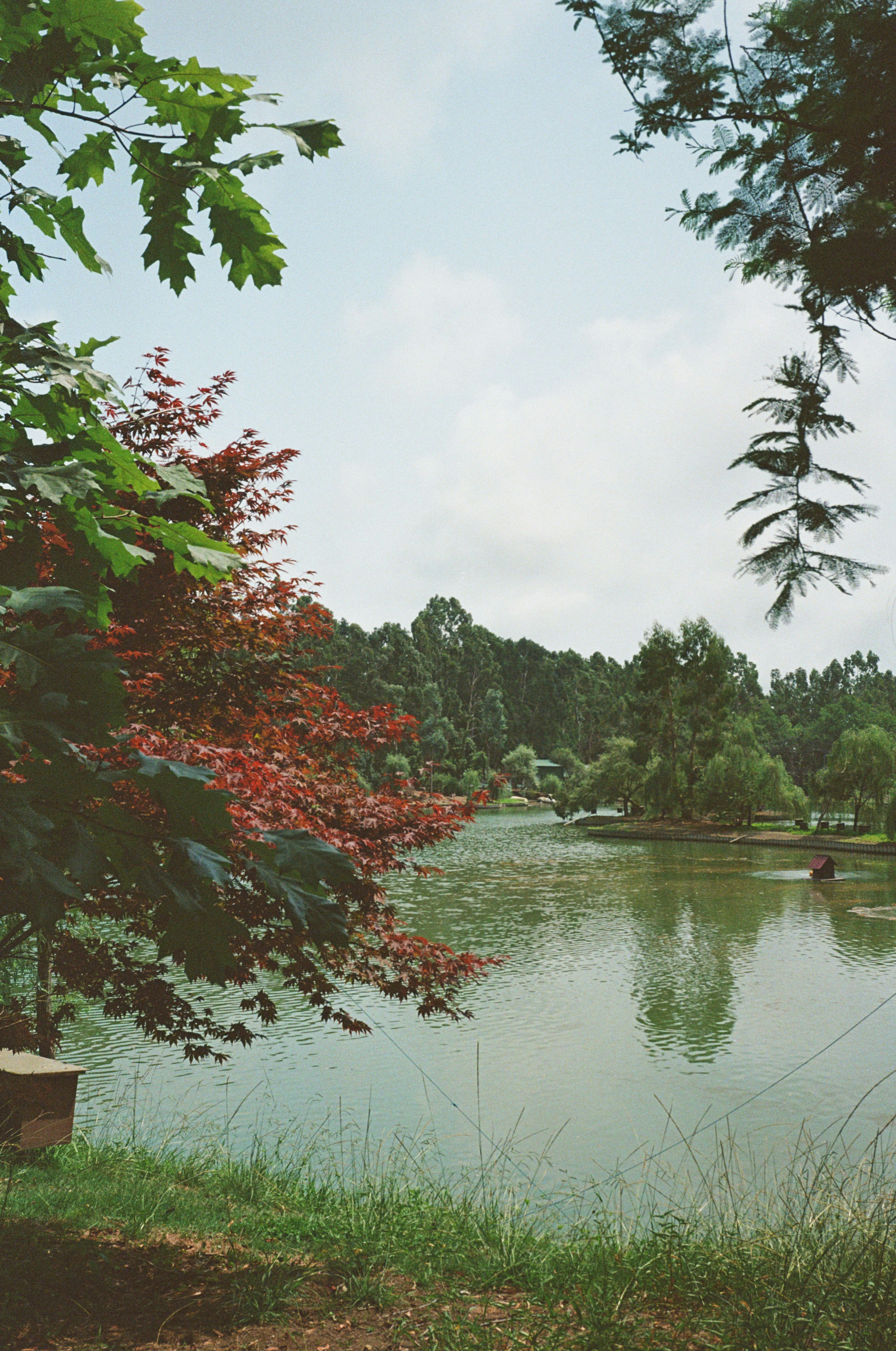 Photo by artyshena