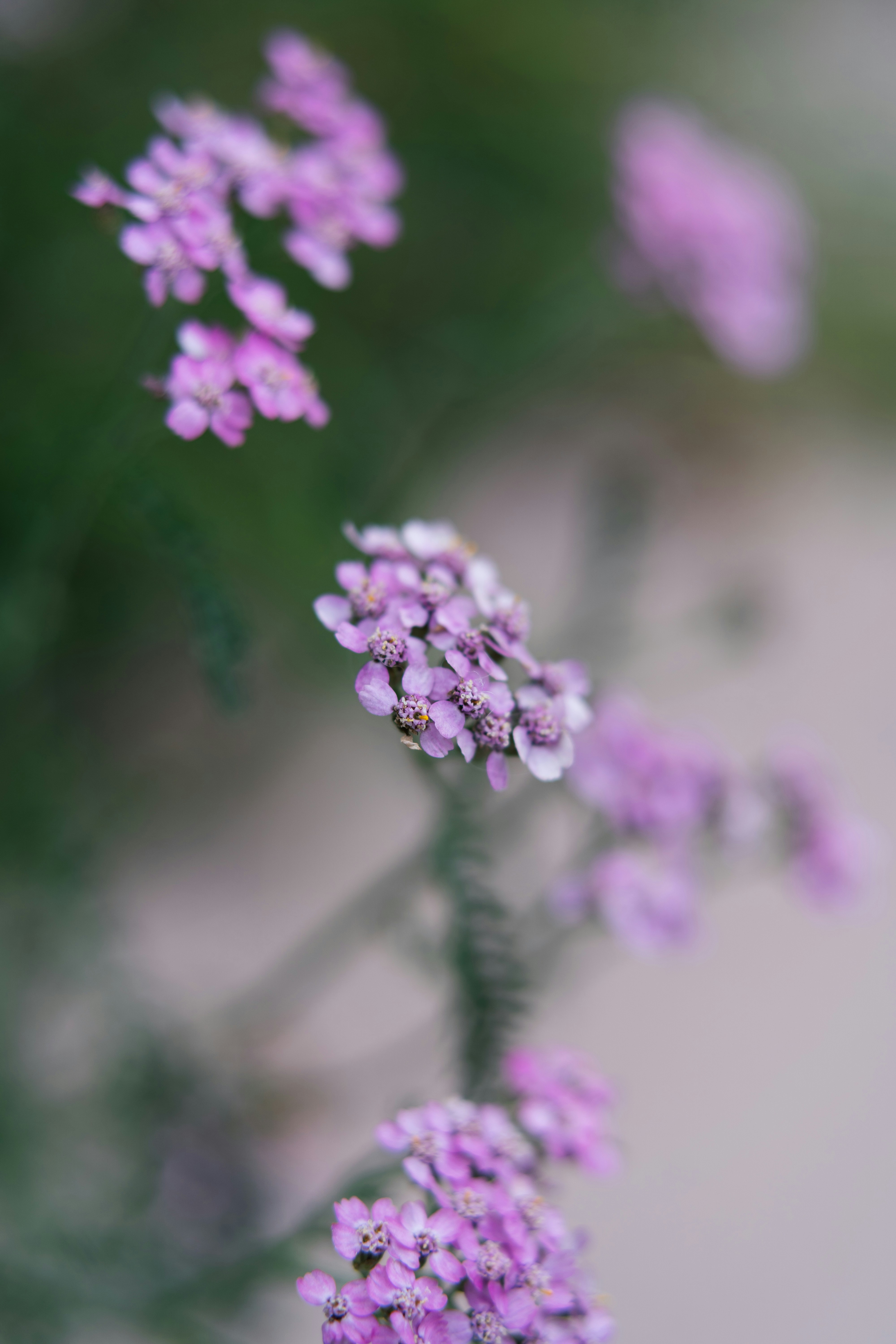 Photo by anamnesis33