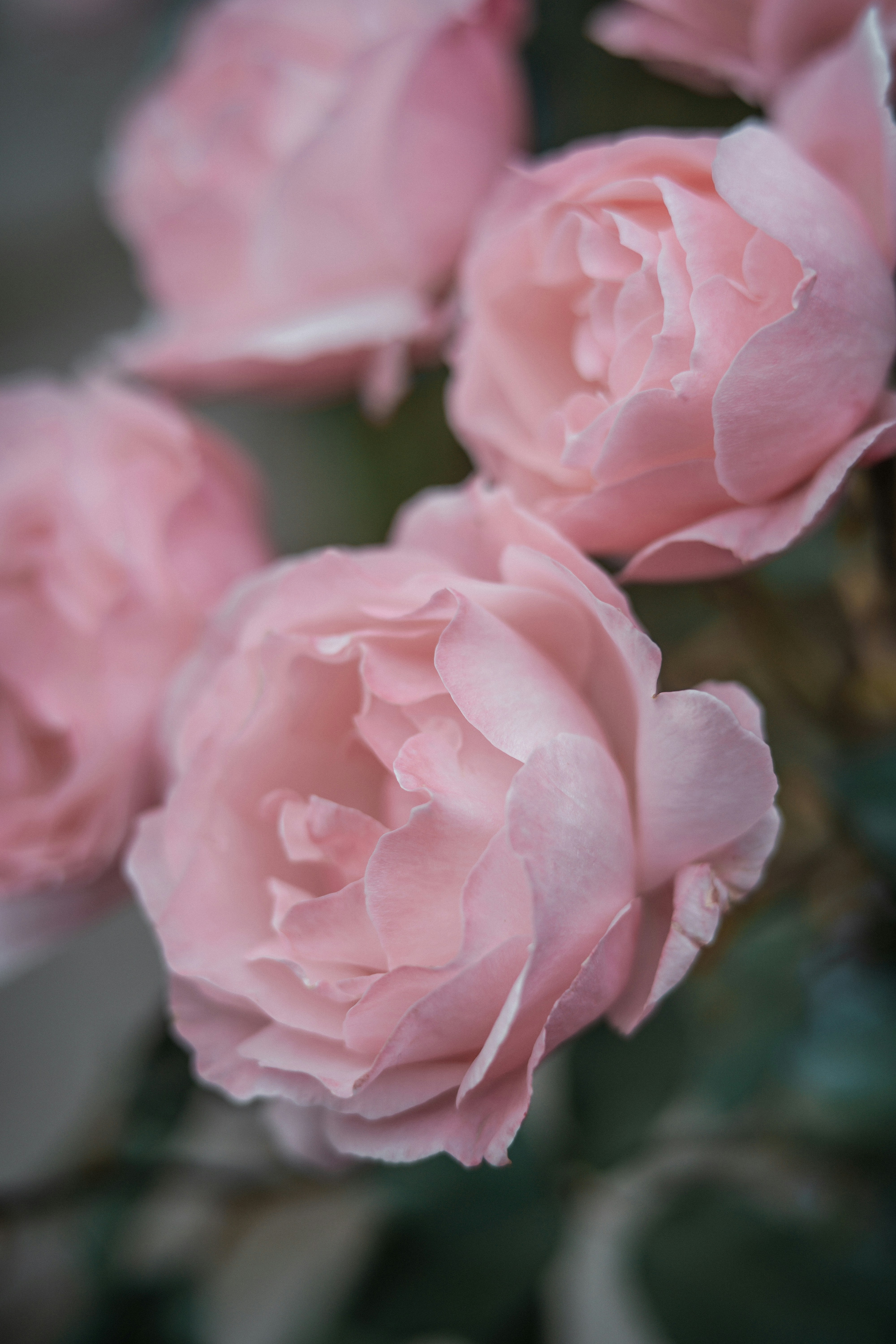 Photo by anamnesis33