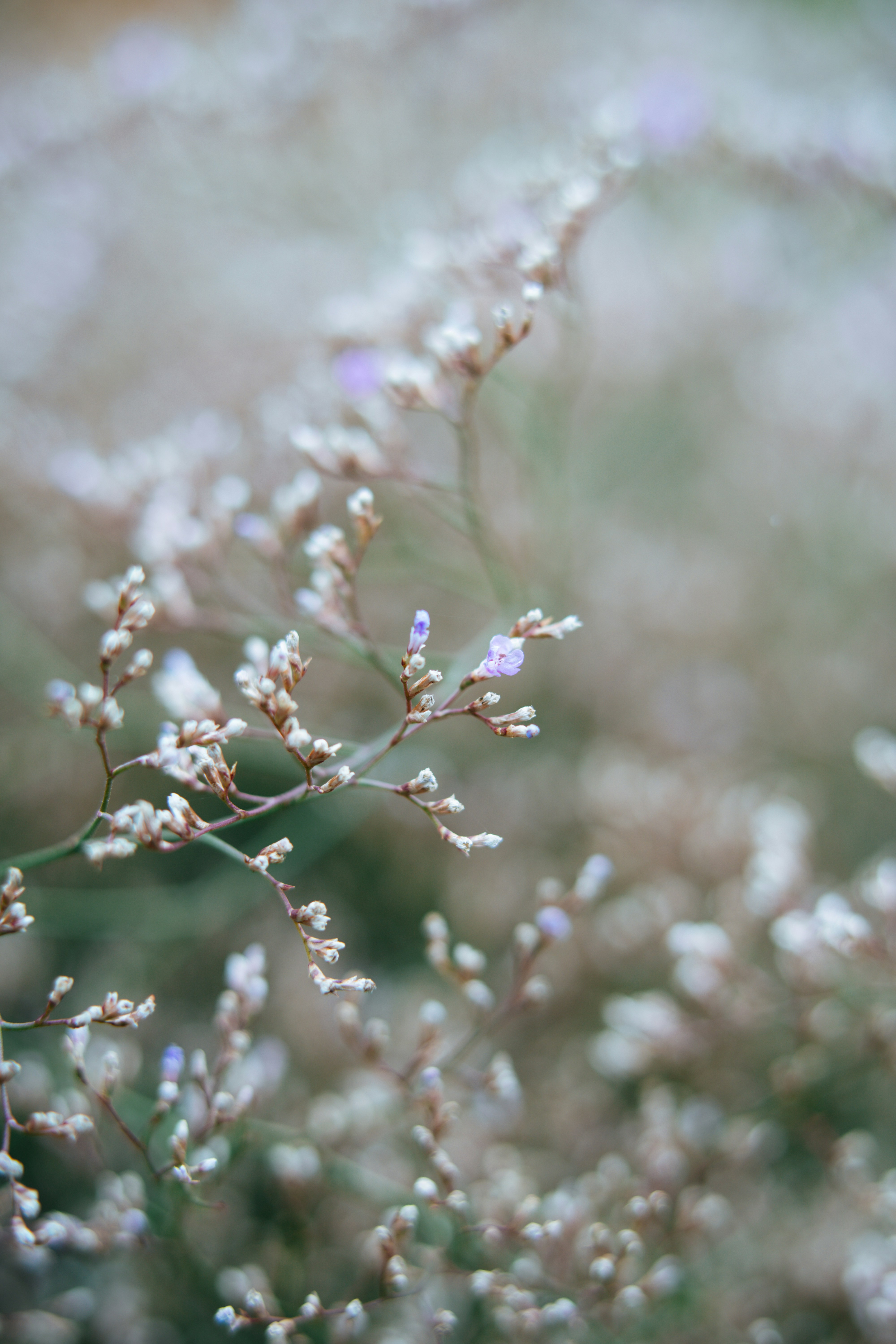 Photo by anamnesis33