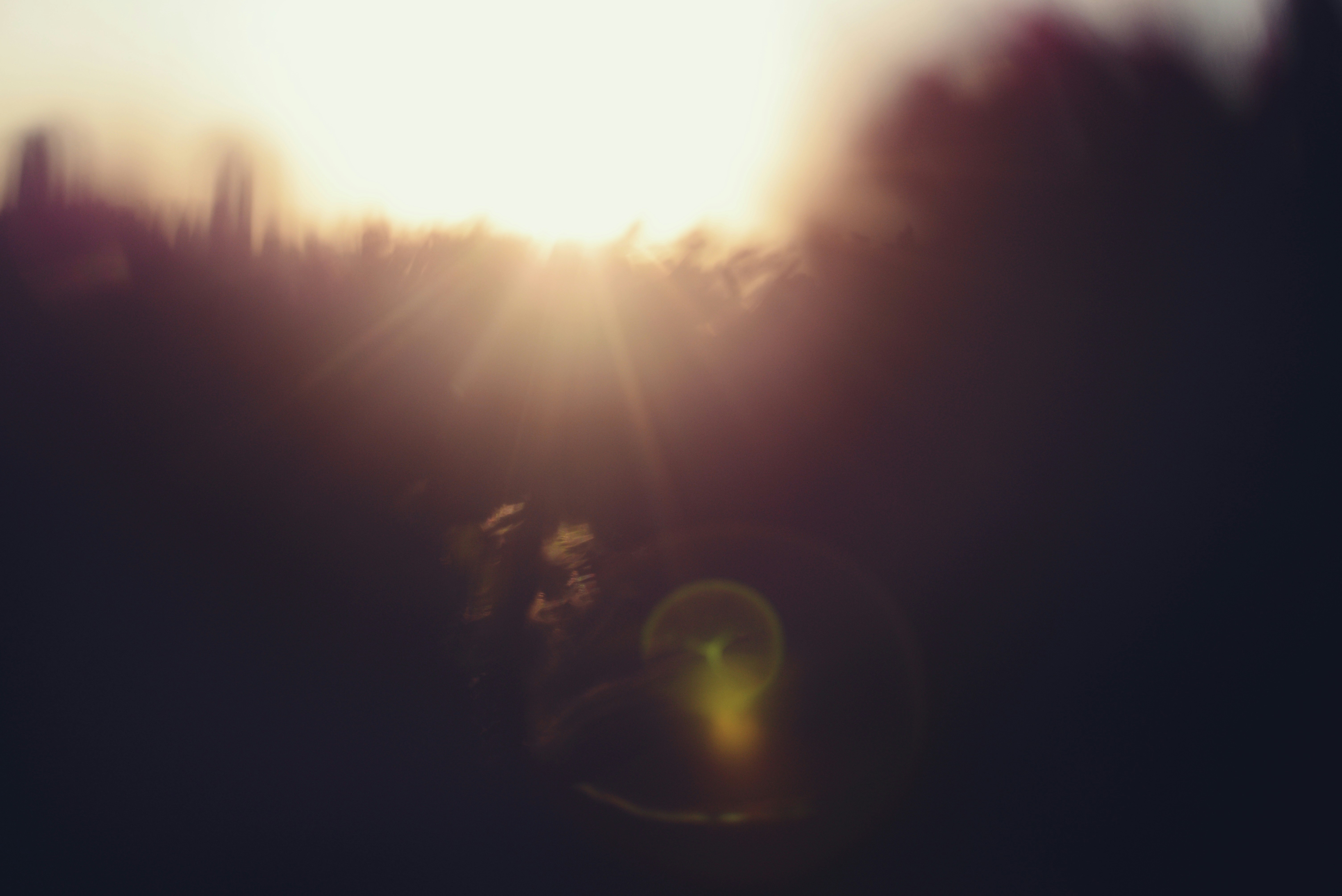 Photo by cherstve_pechivo