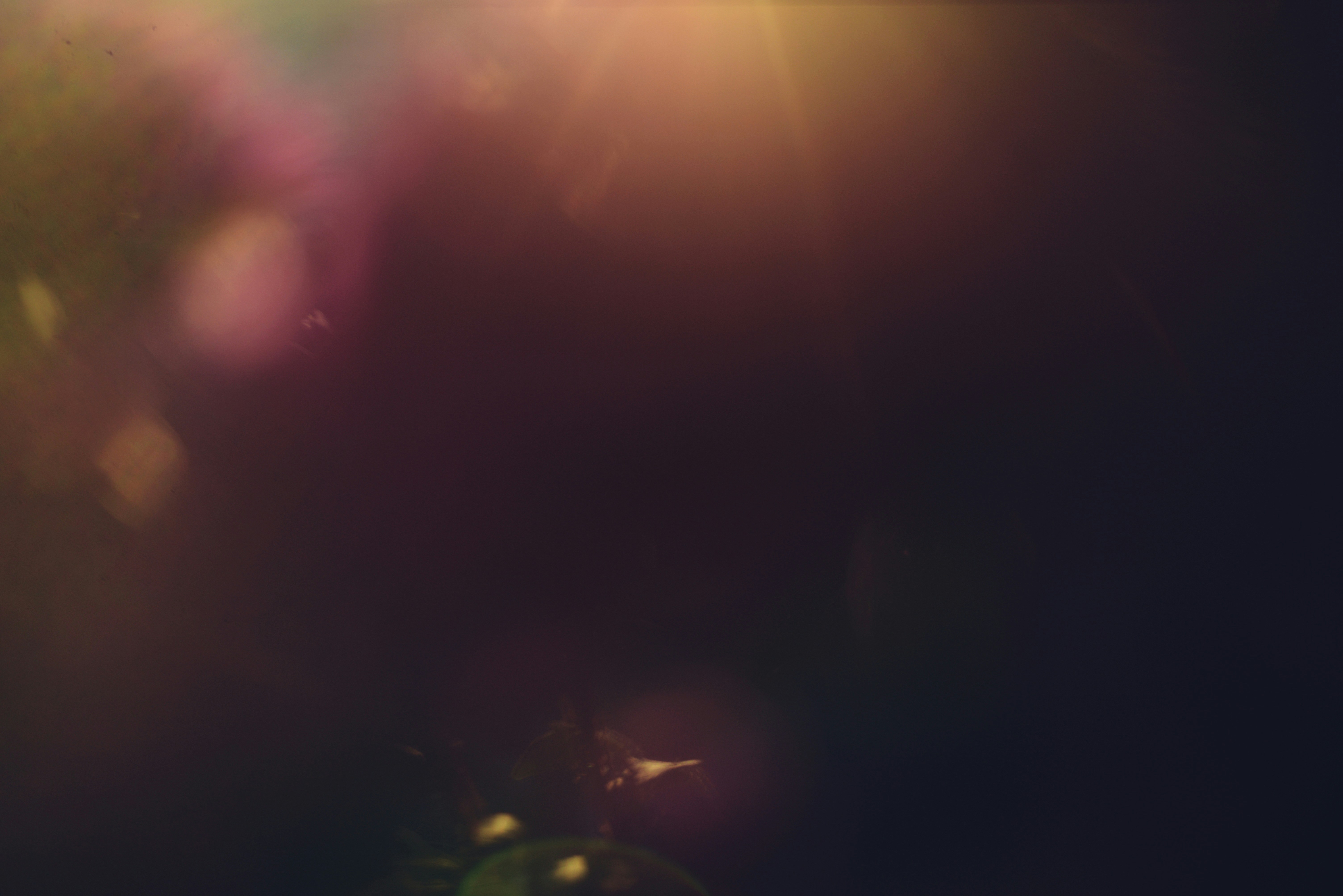 Abstract bokeh lights and lens flare effect