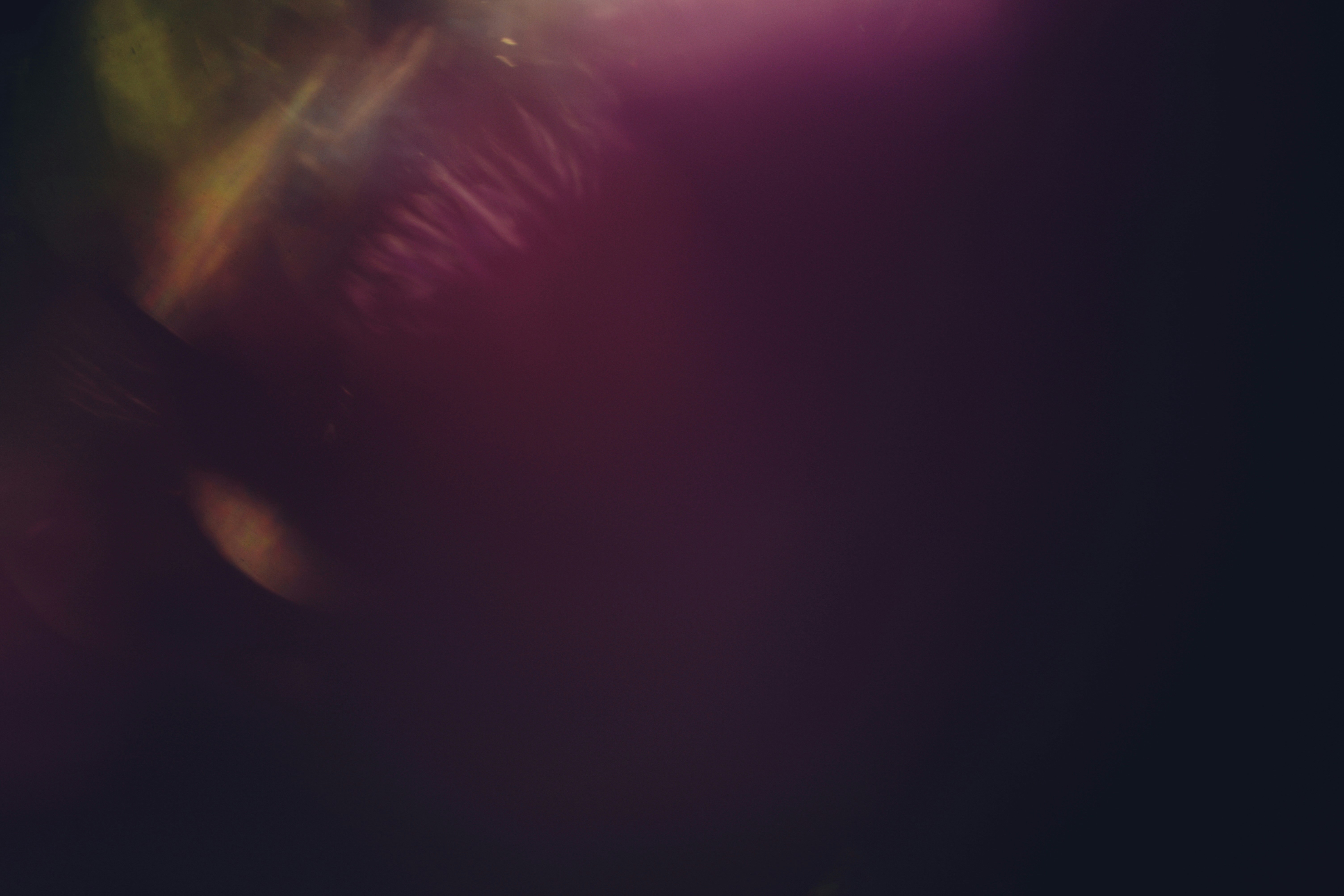 photo-1758474074455-fc44c0bd7c8d?ixid=M3wxMjA3fDB8MXxzZWFyY2h8Nnx8bGFuY2lhdWFsdXxlbnwwfHx8fDE3NjAxNTkyNjJ8MA\u0026ixlib=rb-4.1.0