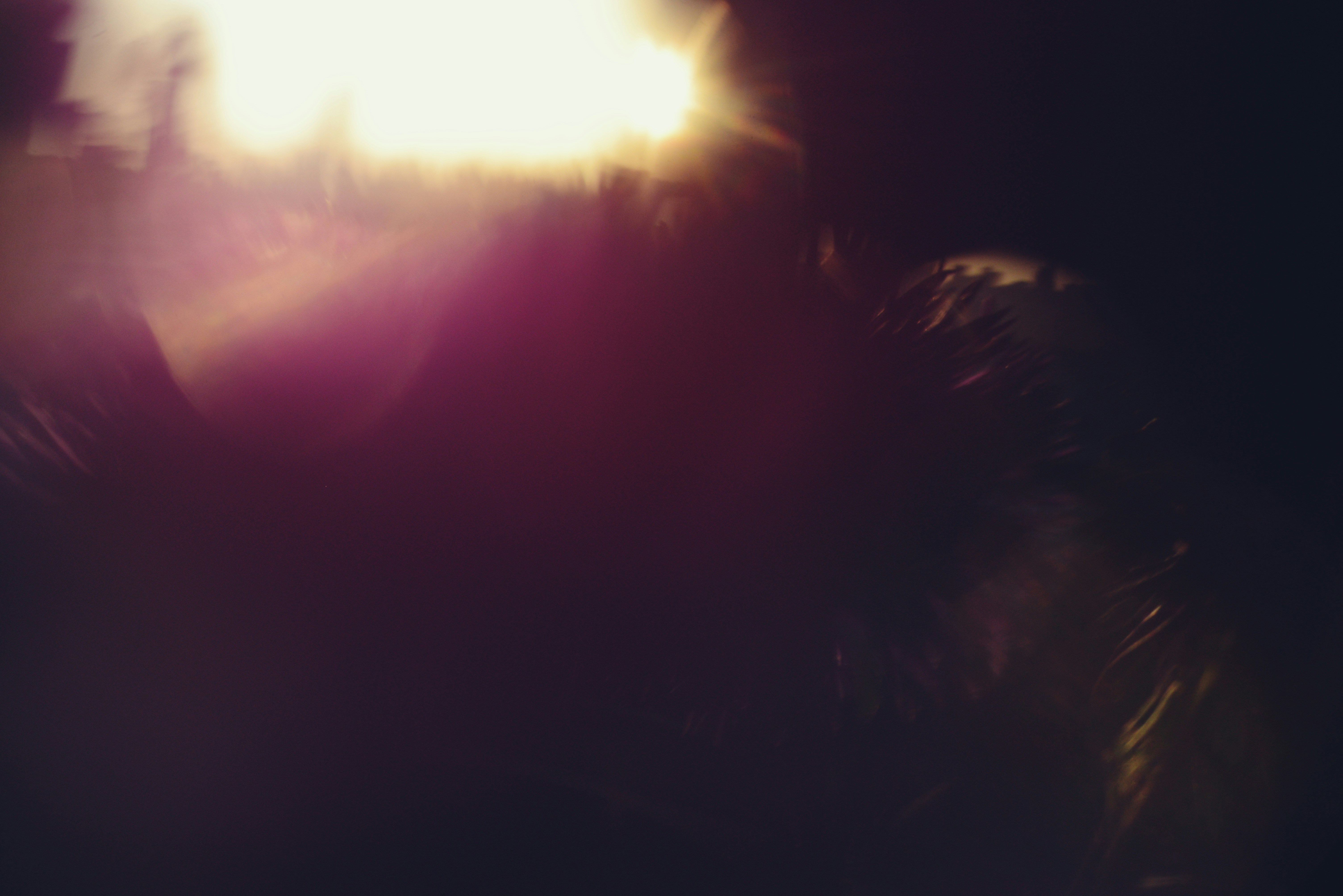 국내 전기차 신규 등록 점유율 15% 돌파?