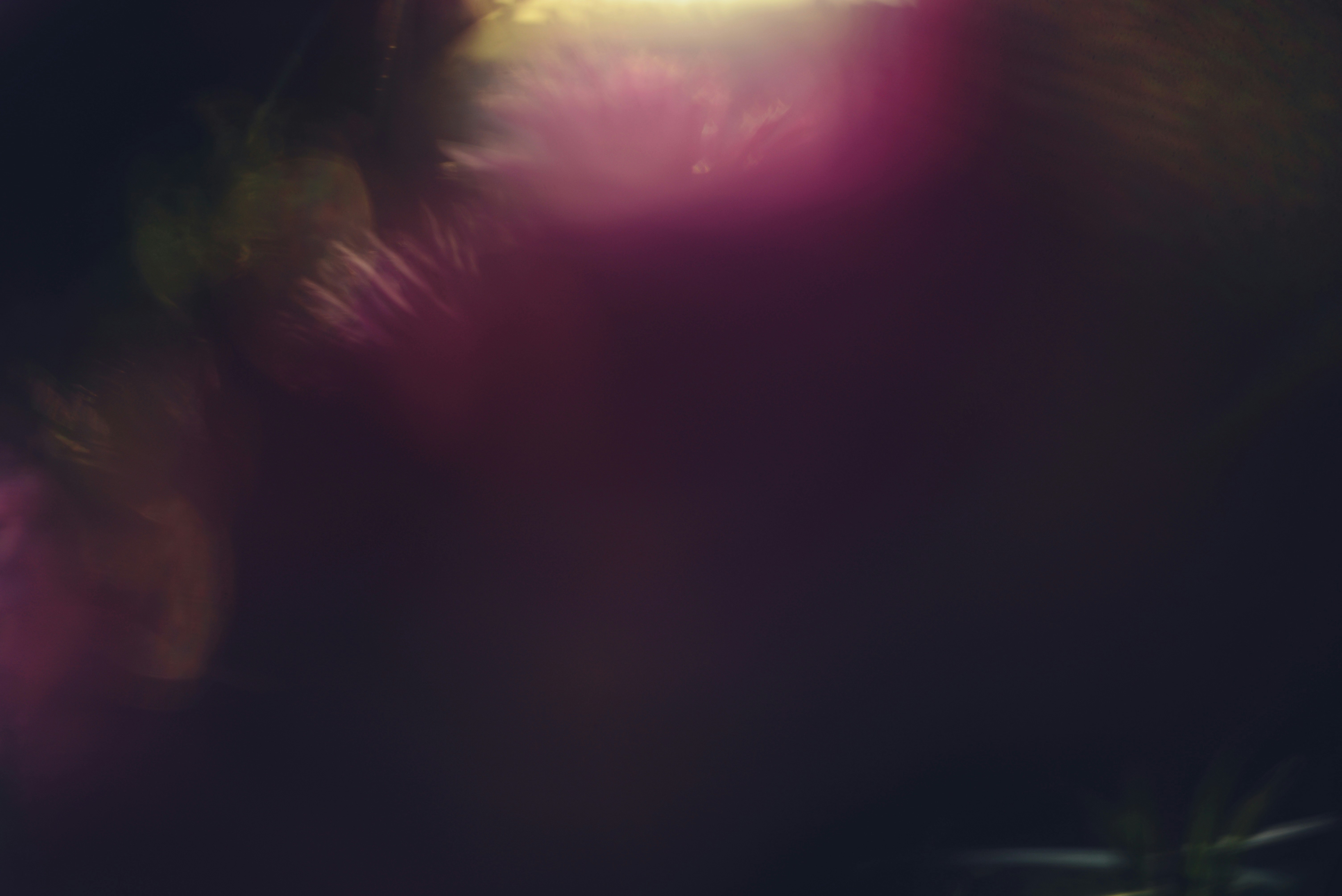 Photo by cherstve_pechivo