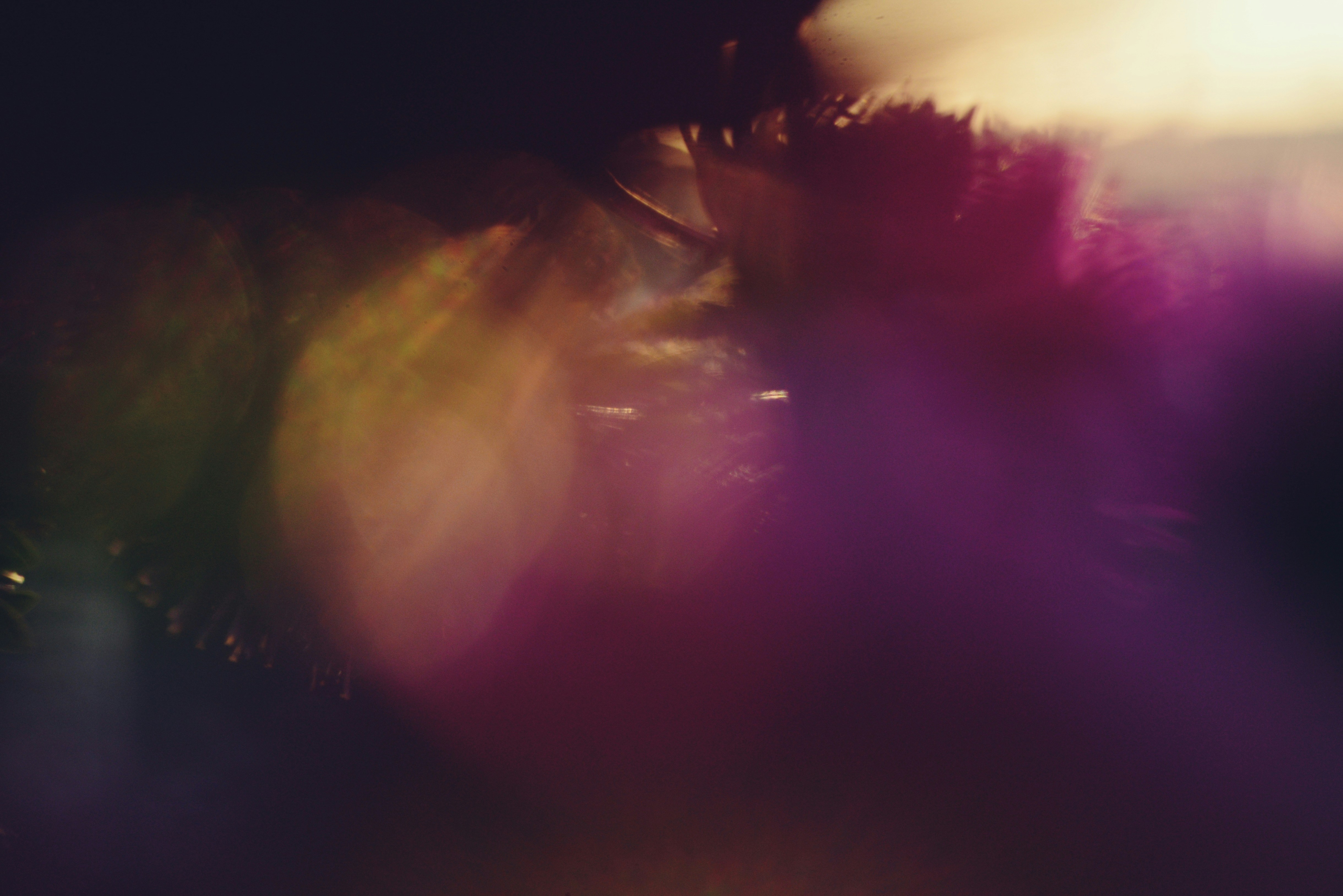 Abstract bokeh lights in purple and yellow