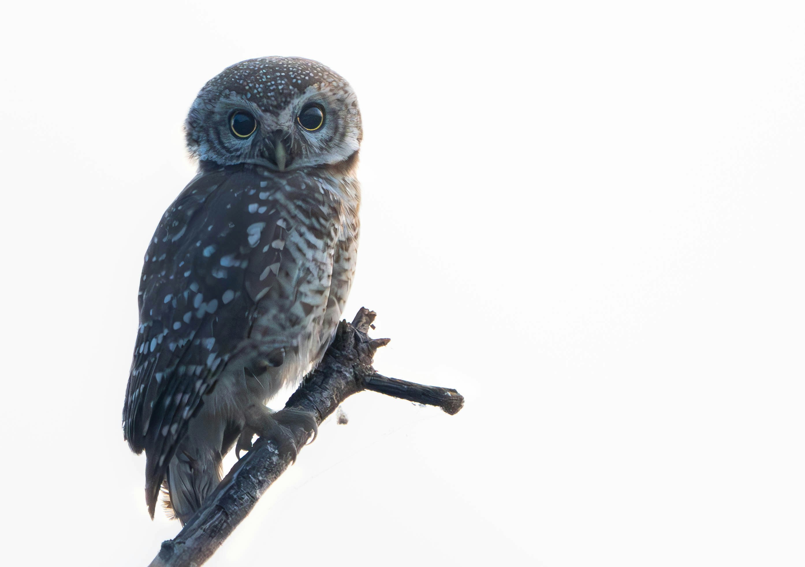 Photo by mind_framed