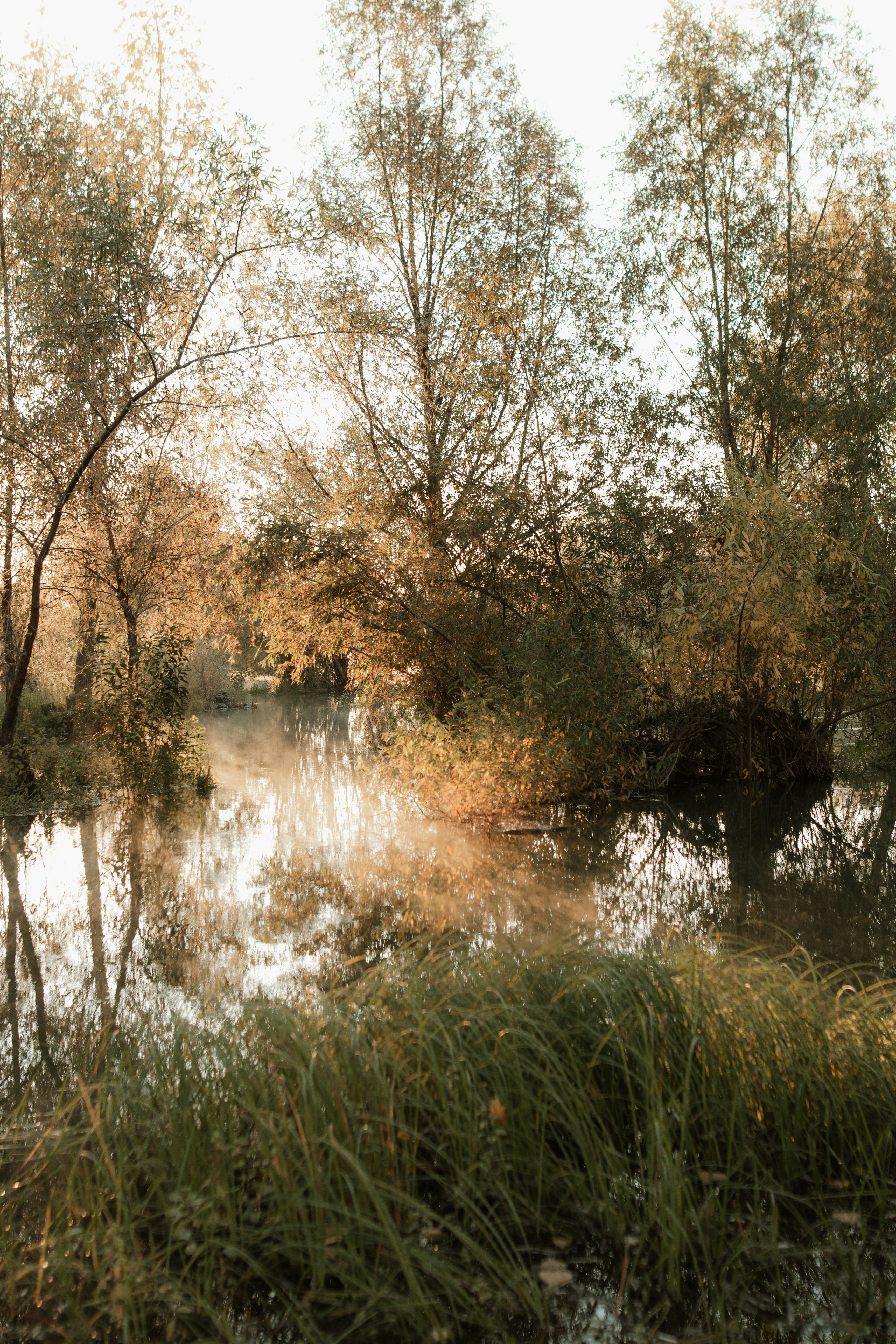 Photo by alinabondar_ph