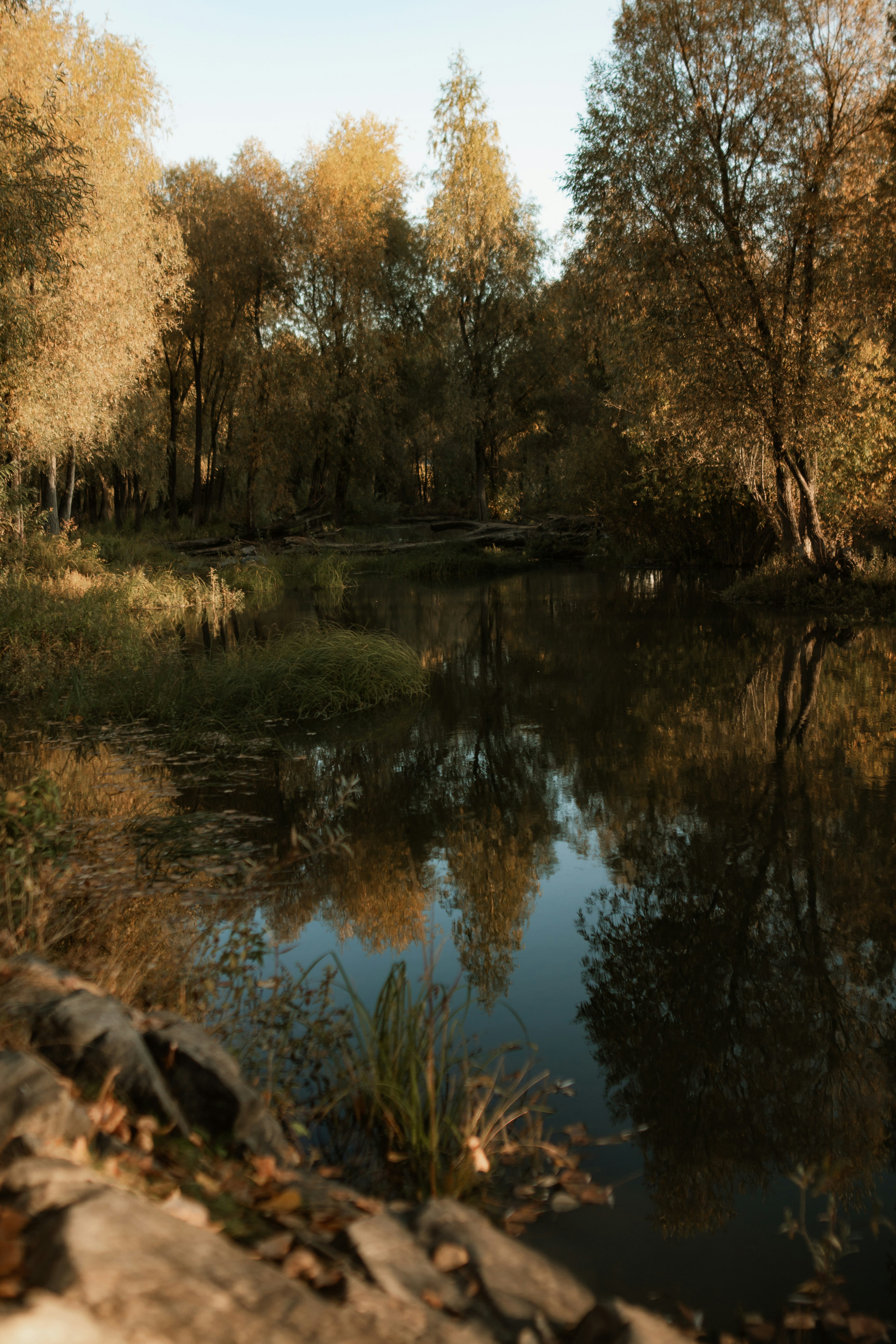 Photo by alinabondar_ph