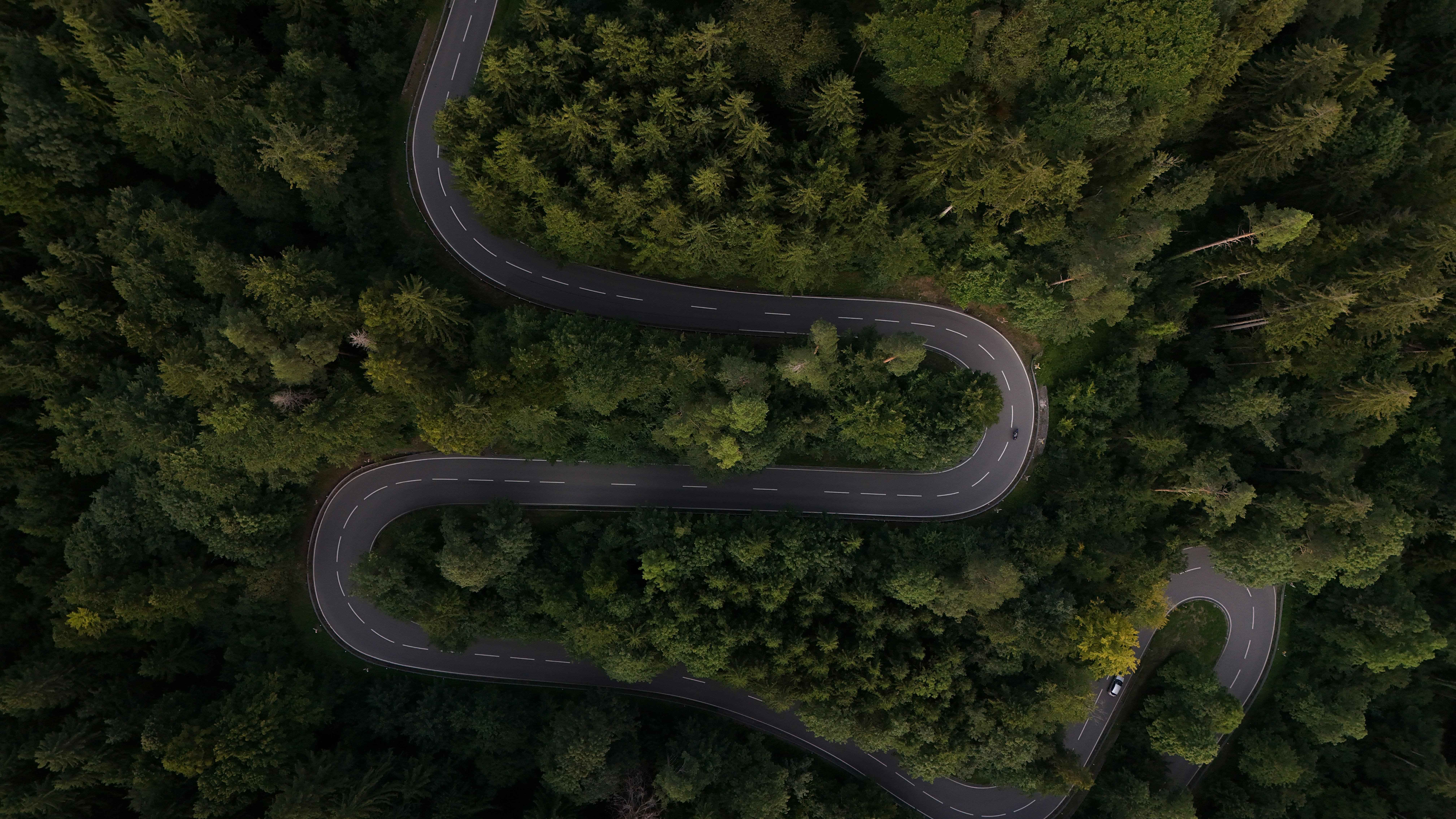 Photo by stanversluis