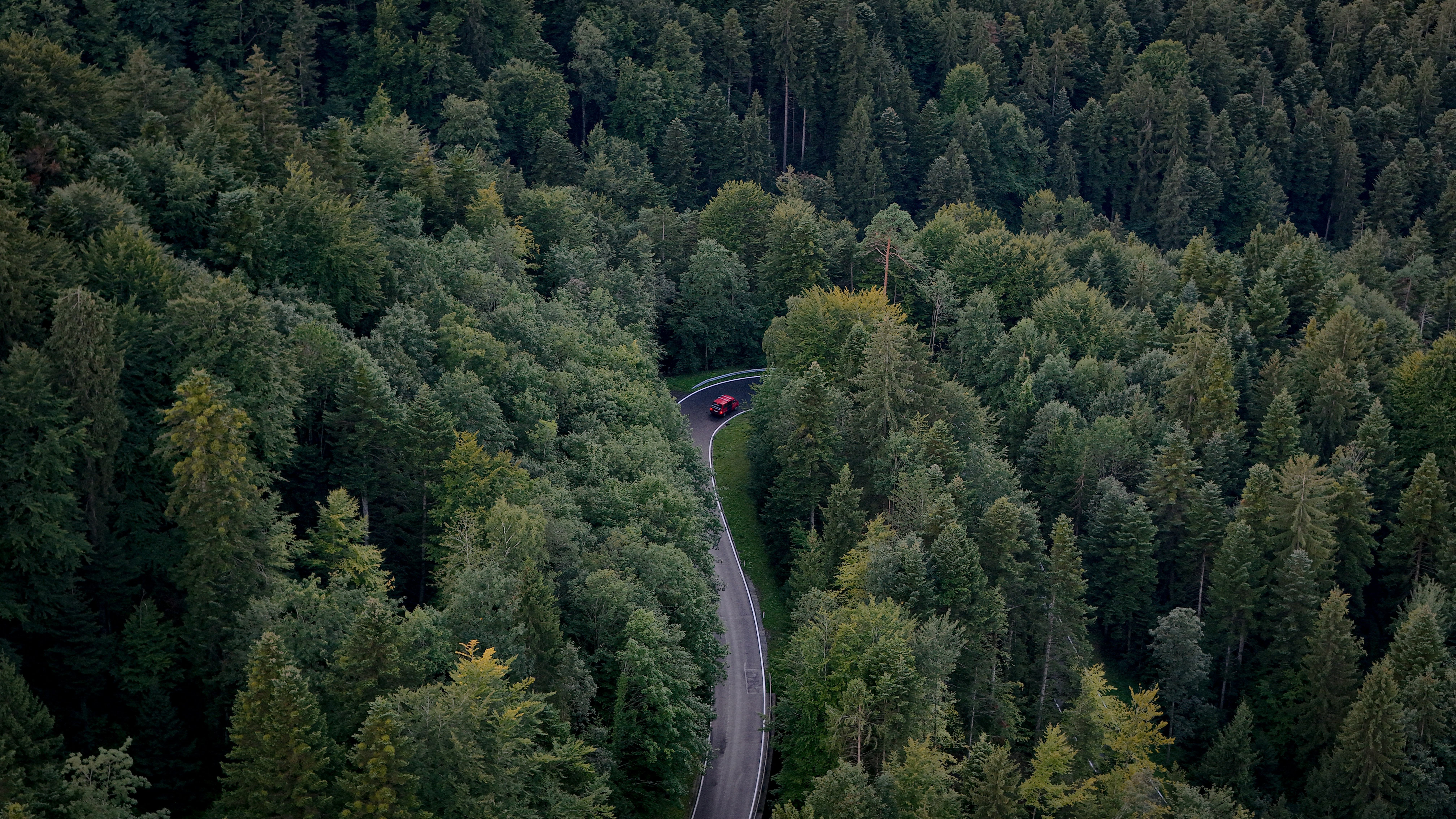 Photo by stanversluis