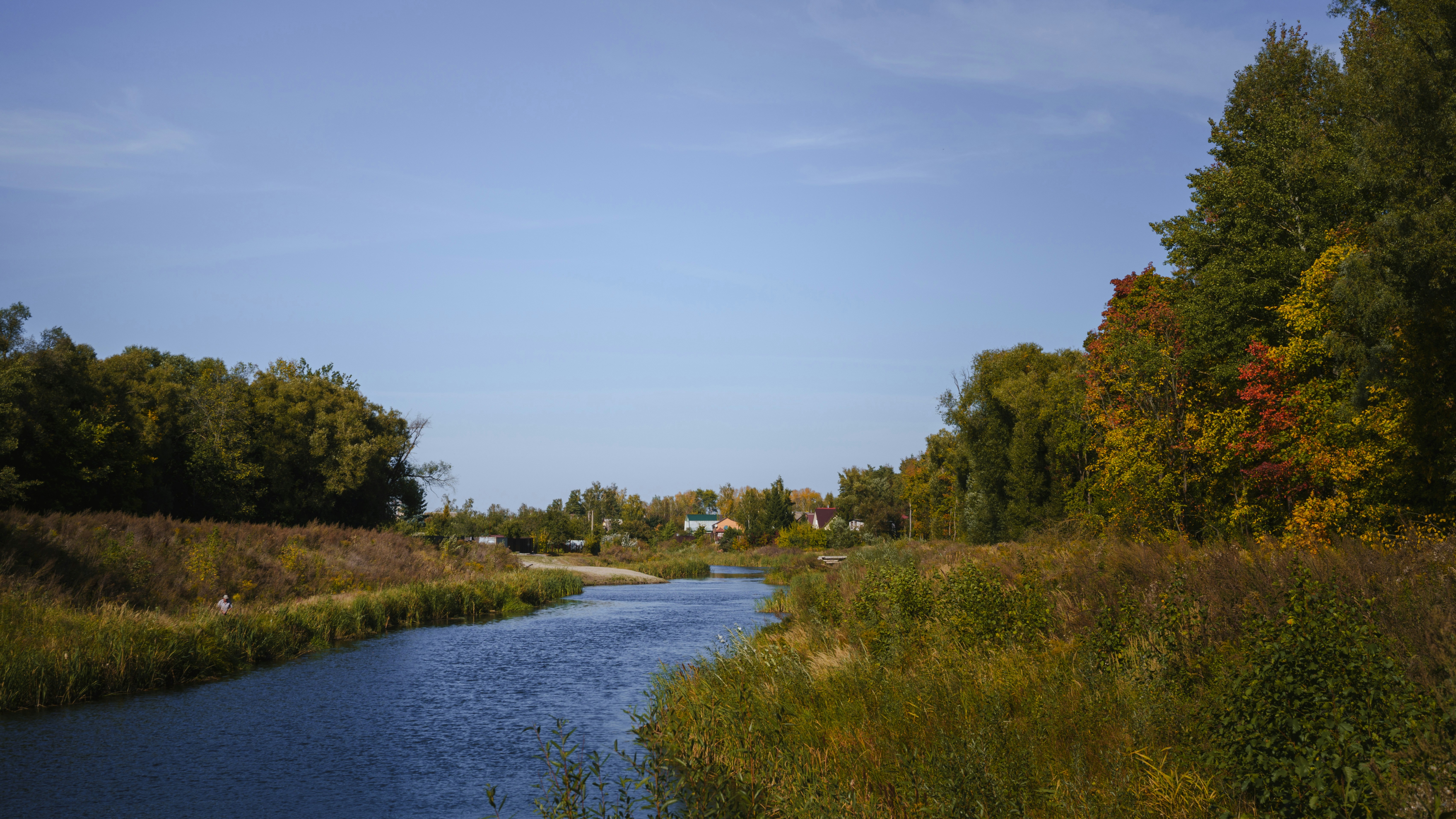 Blue river flows through autumn trees and tall grass
