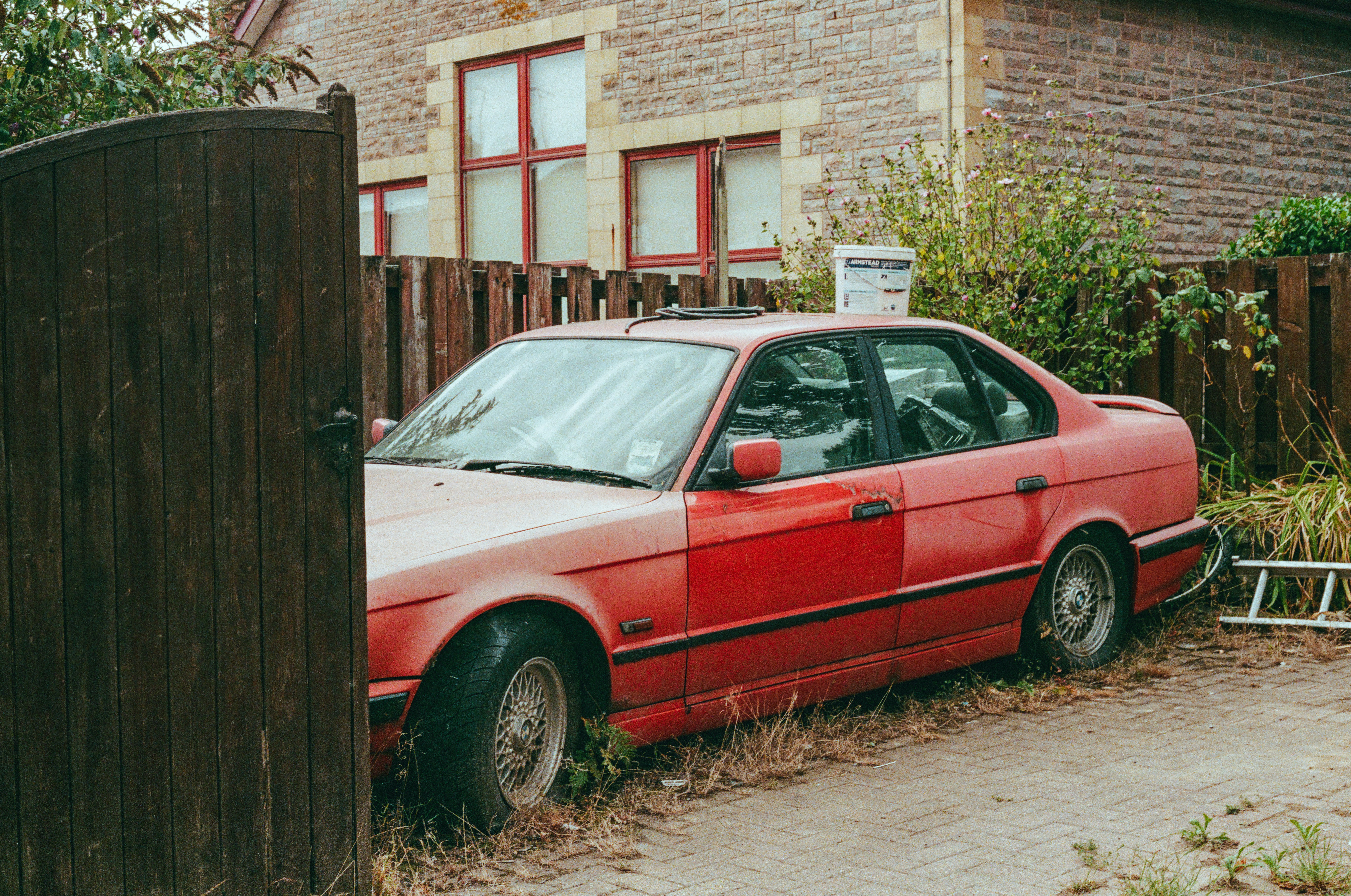 Editor-Approved Exotic Creations: Ultimate Guide to CITES-Compliant Exotic Leather