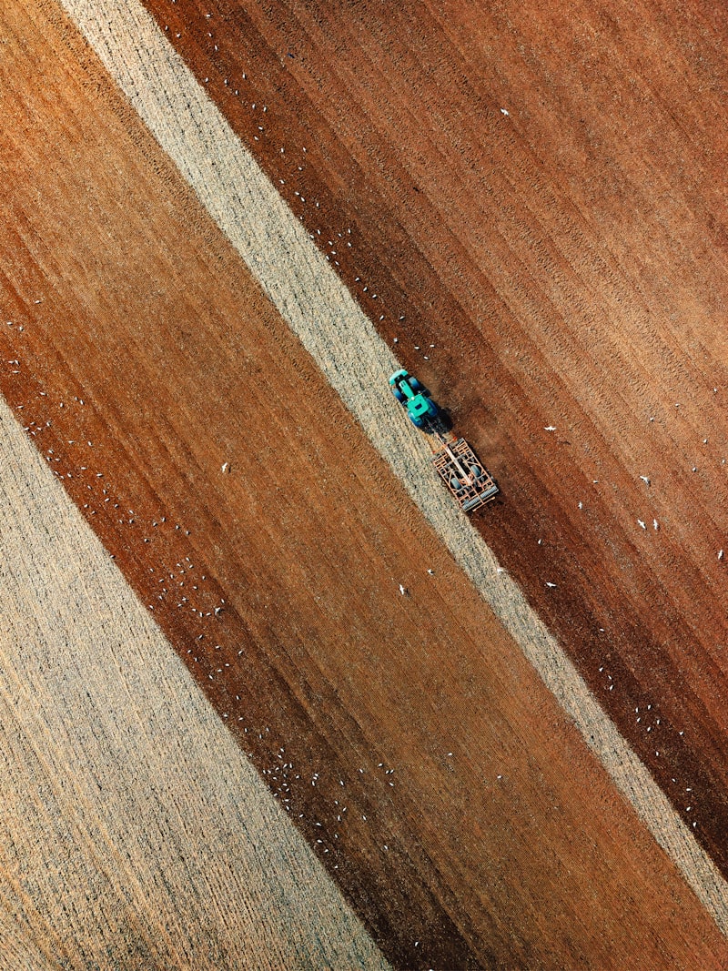 SPC vs ламинат: полное сравнение по 12 параметрам