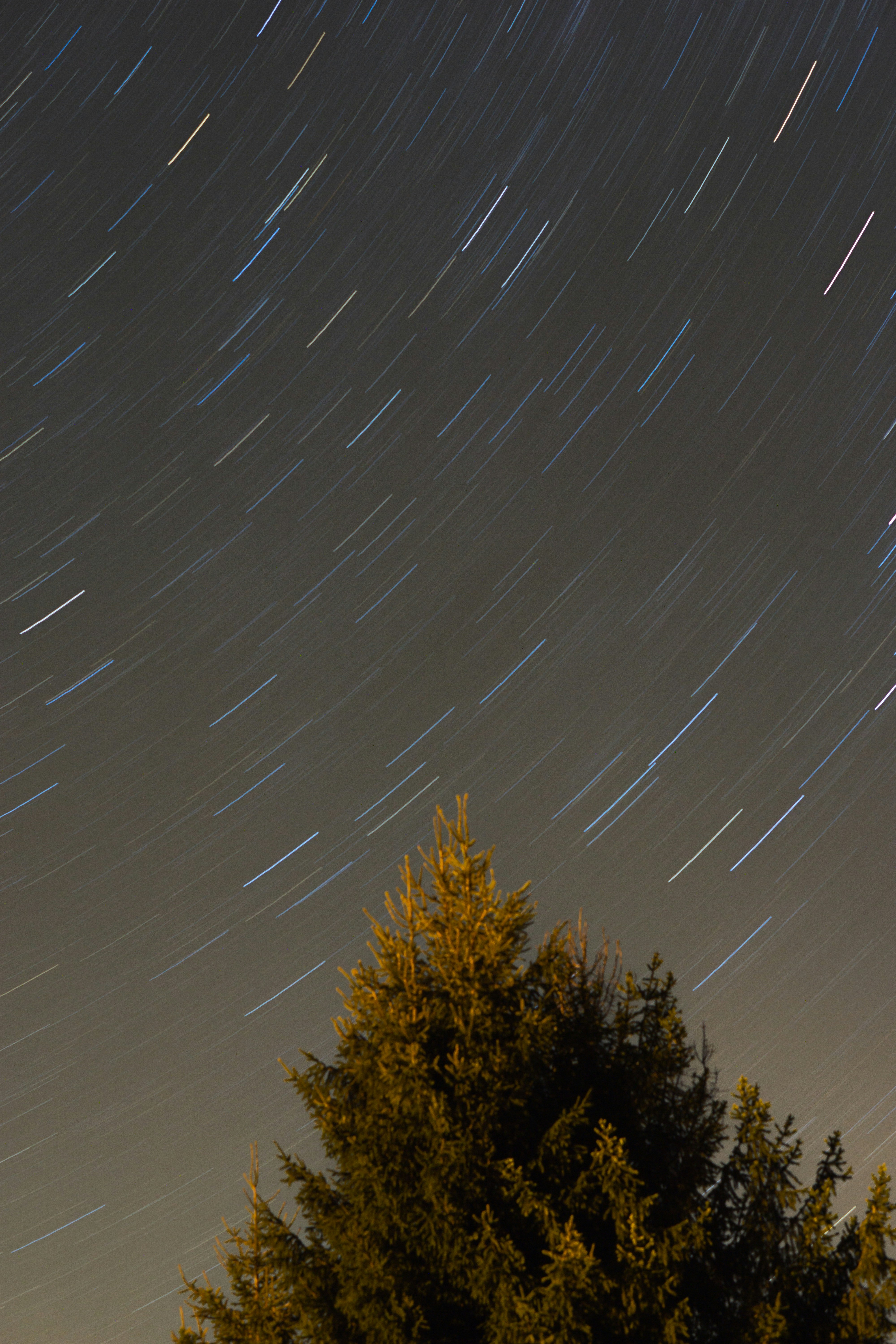 Photo by 3467634mikolaj