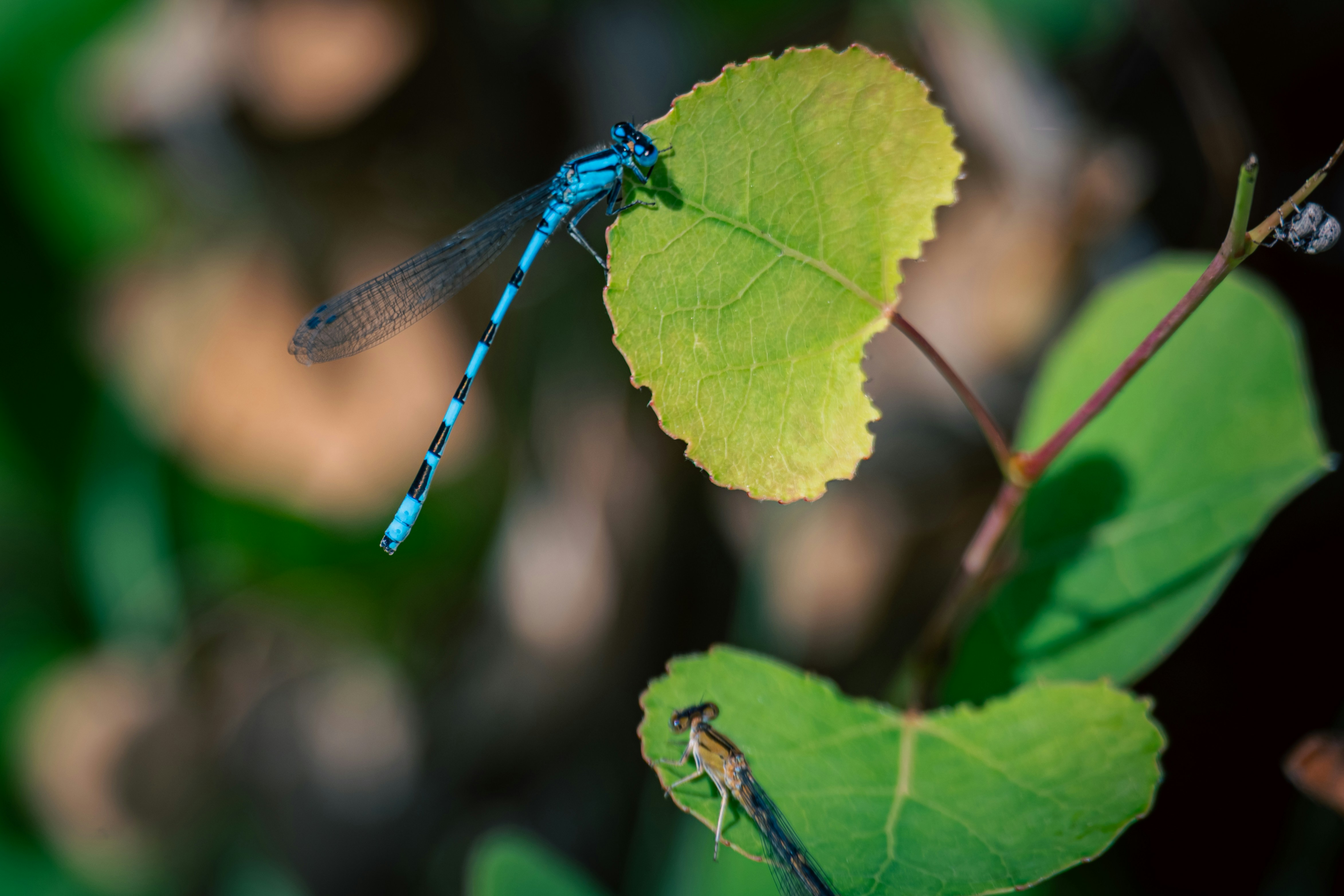 Photo by zihao_wang