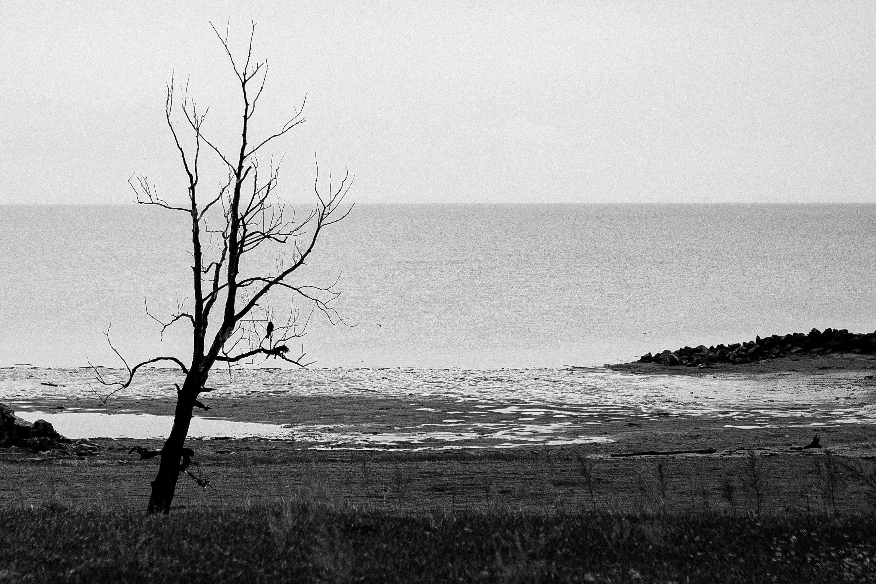 Photo by alinabondar_ph