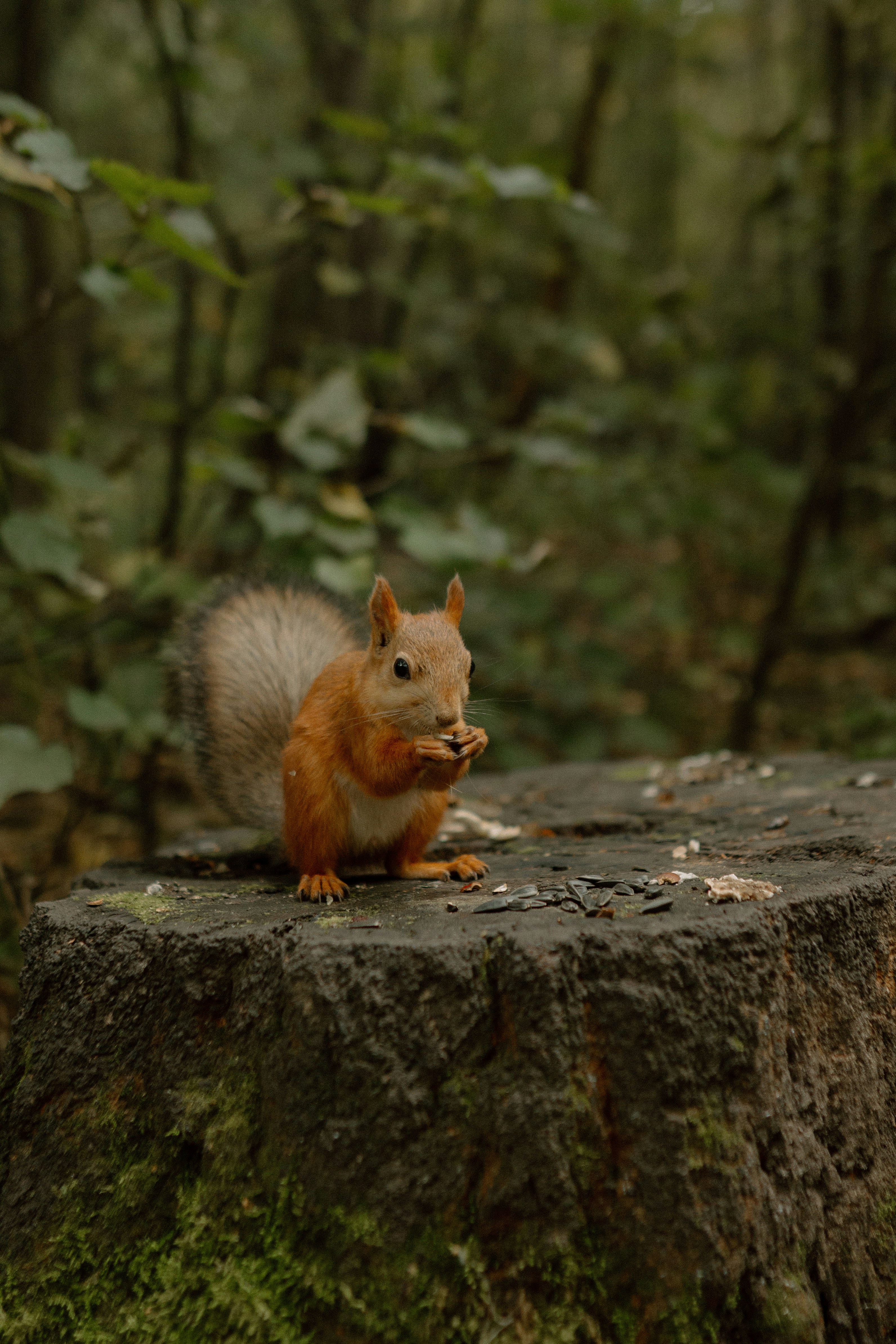 Photo by alinabondar_ph