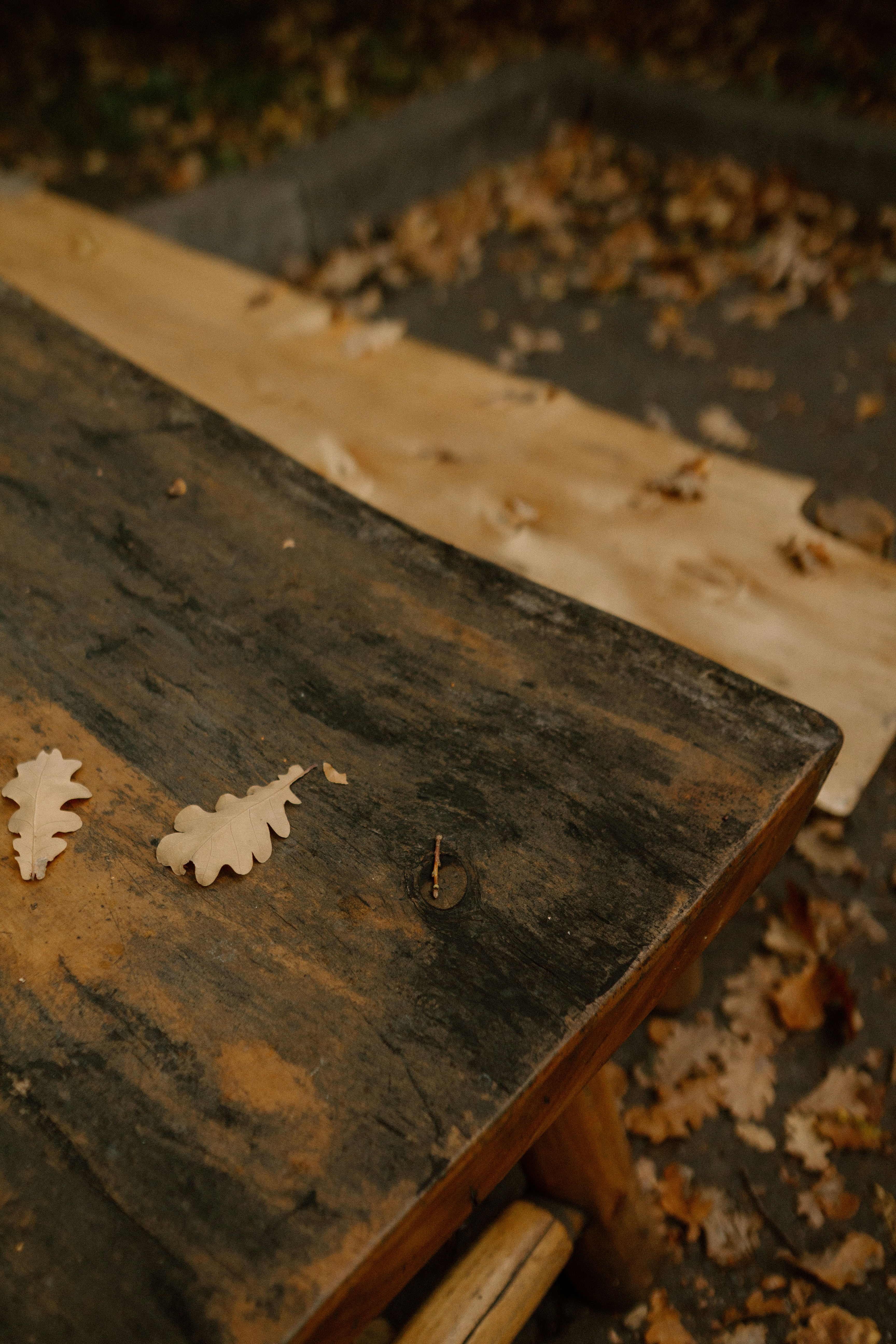 Photo by alinabondar_ph