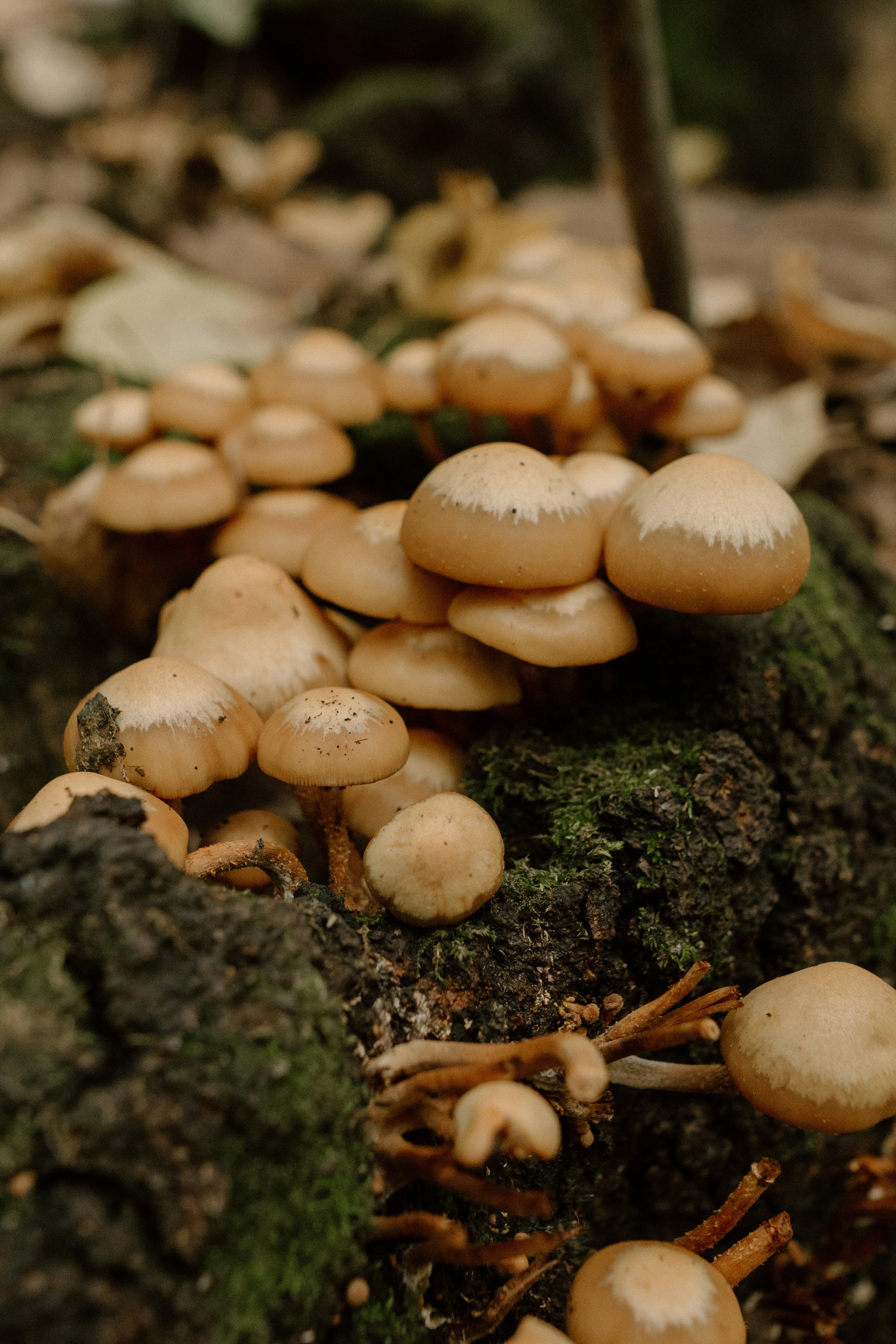 Photo by alinabondar_ph