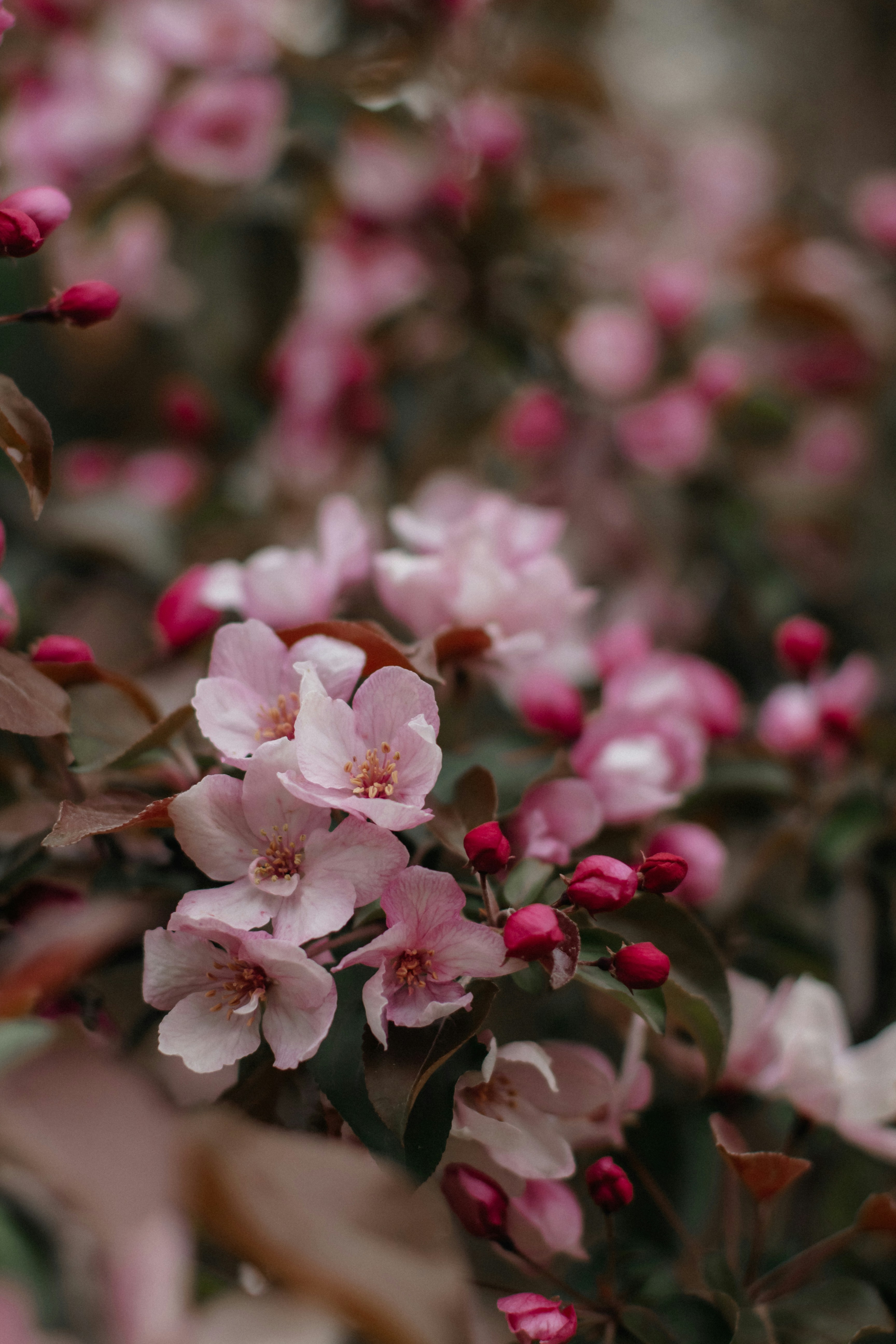 Photo by alinabondar_ph