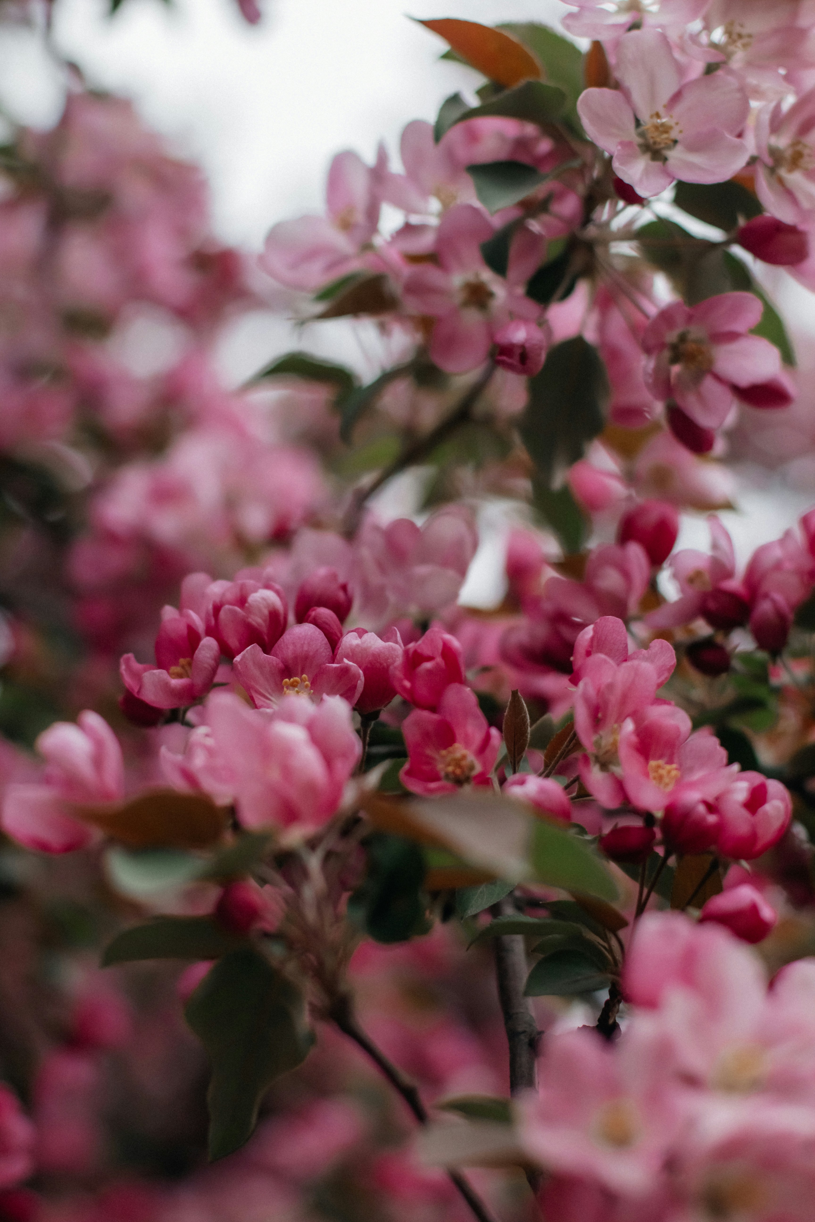 Photo by alinabondar_ph