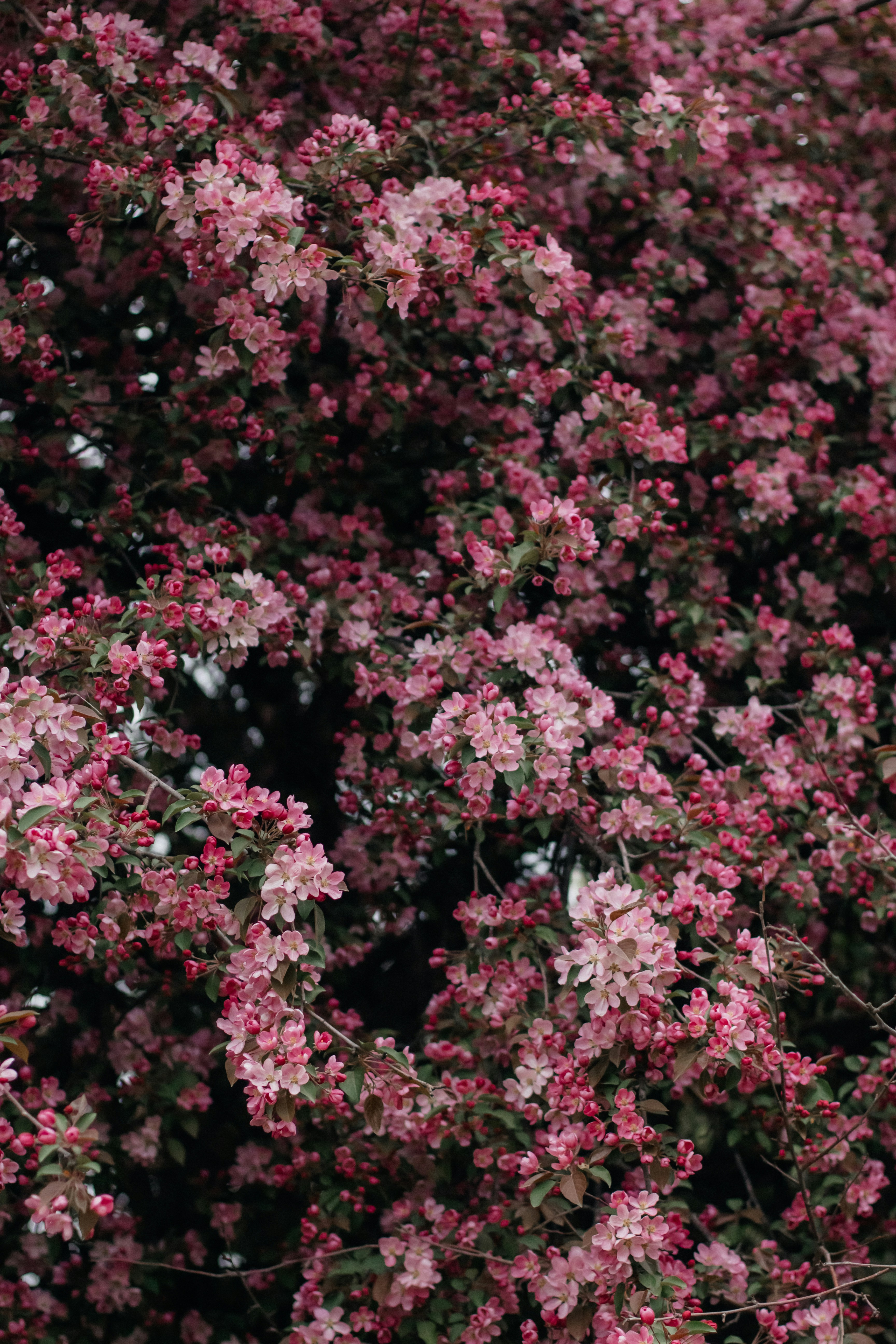 Photo by alinabondar_ph