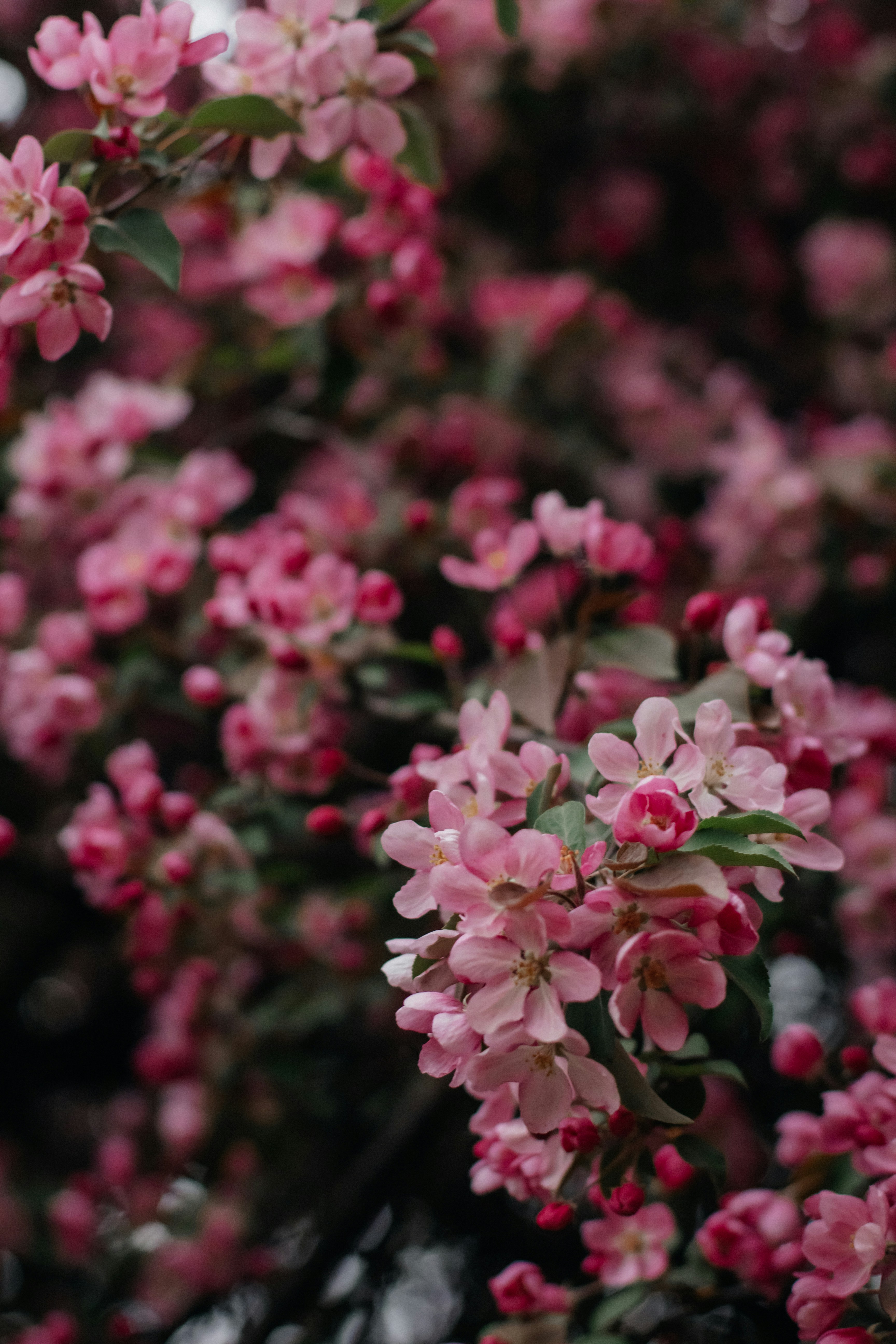 Photo by alinabondar_ph