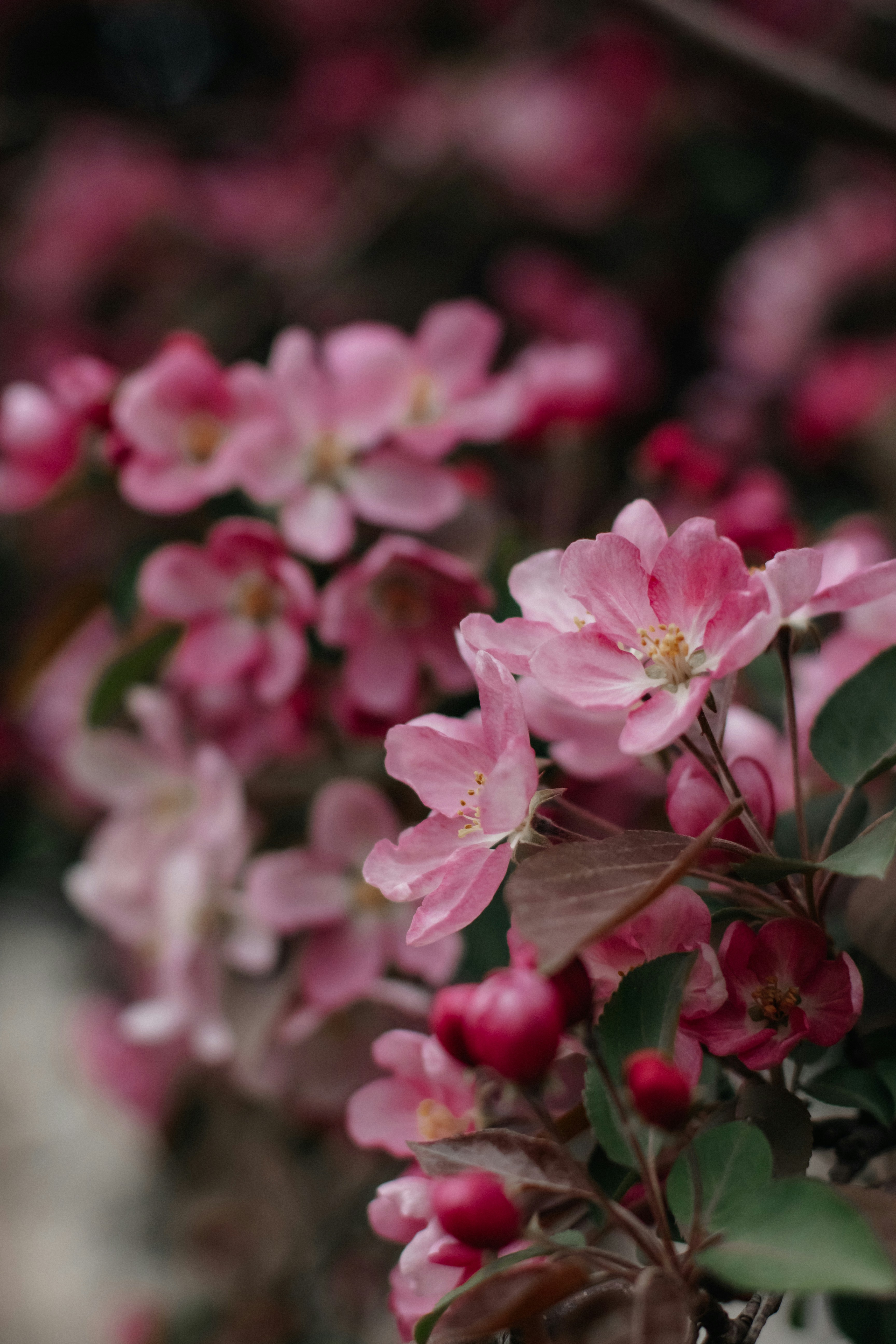 Photo by alinabondar_ph