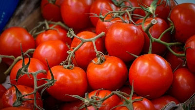 A close-up view of ripe red tomatoes on the vine.