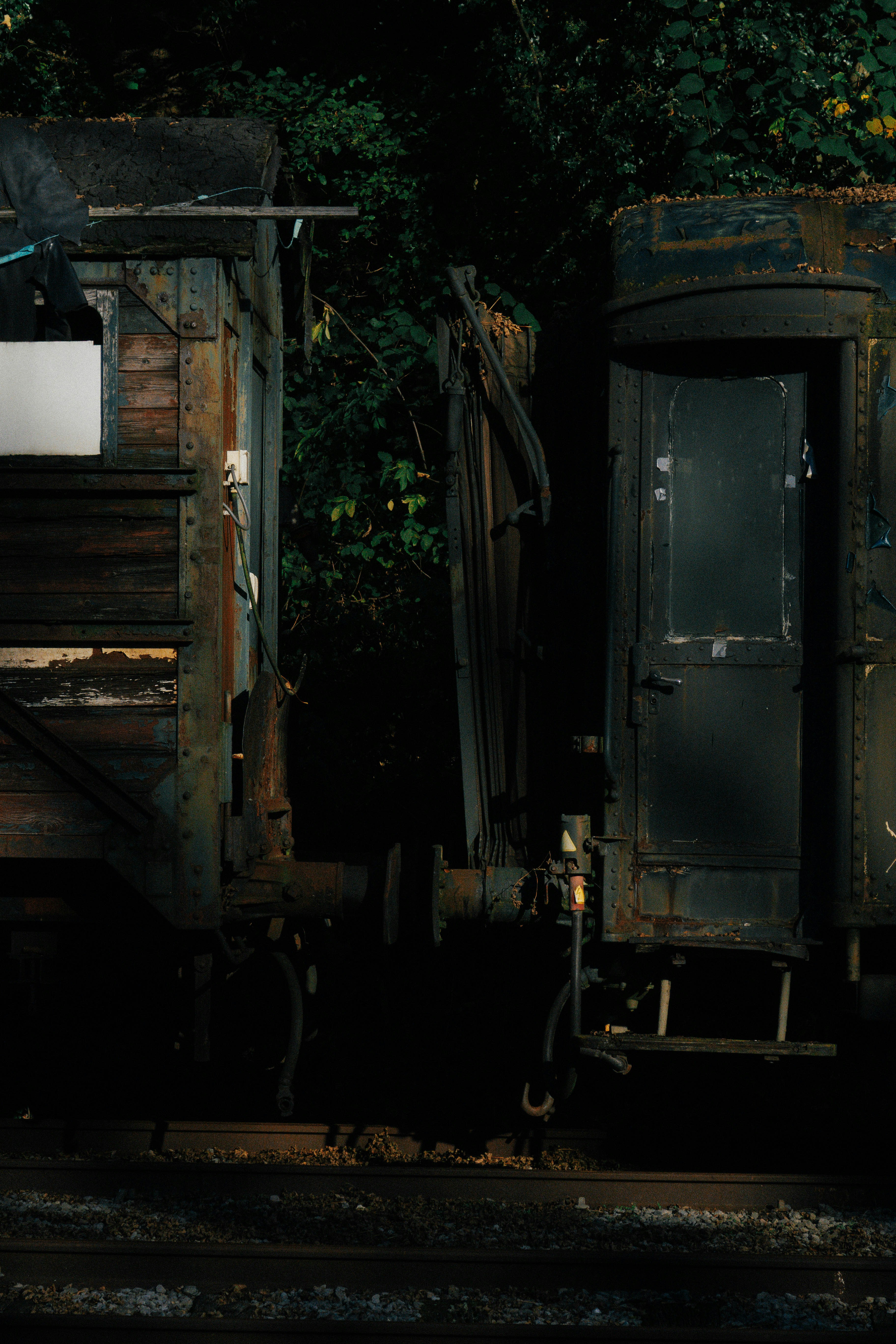 Photo by seenthroughmpk