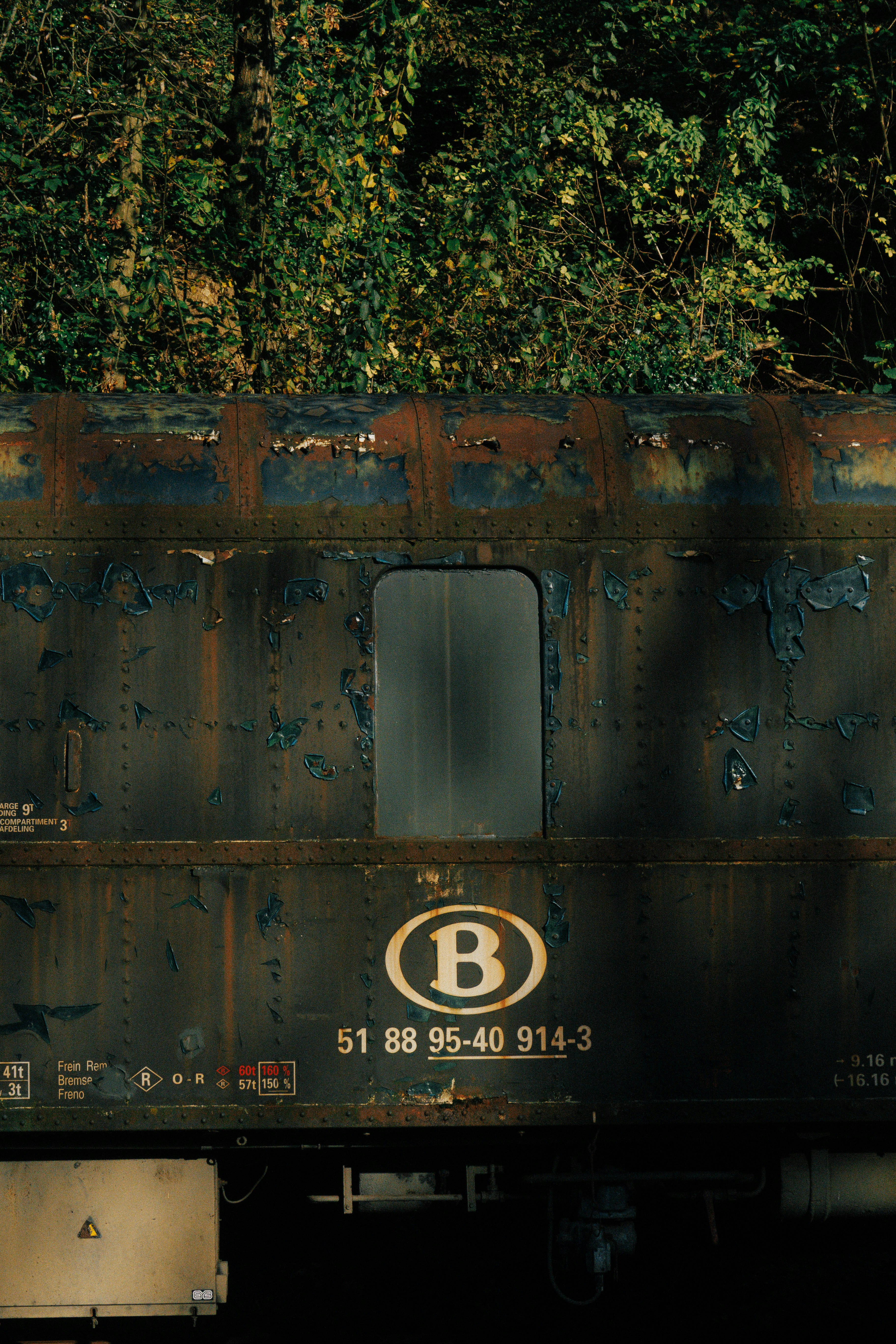 Photo by seenthroughmpk