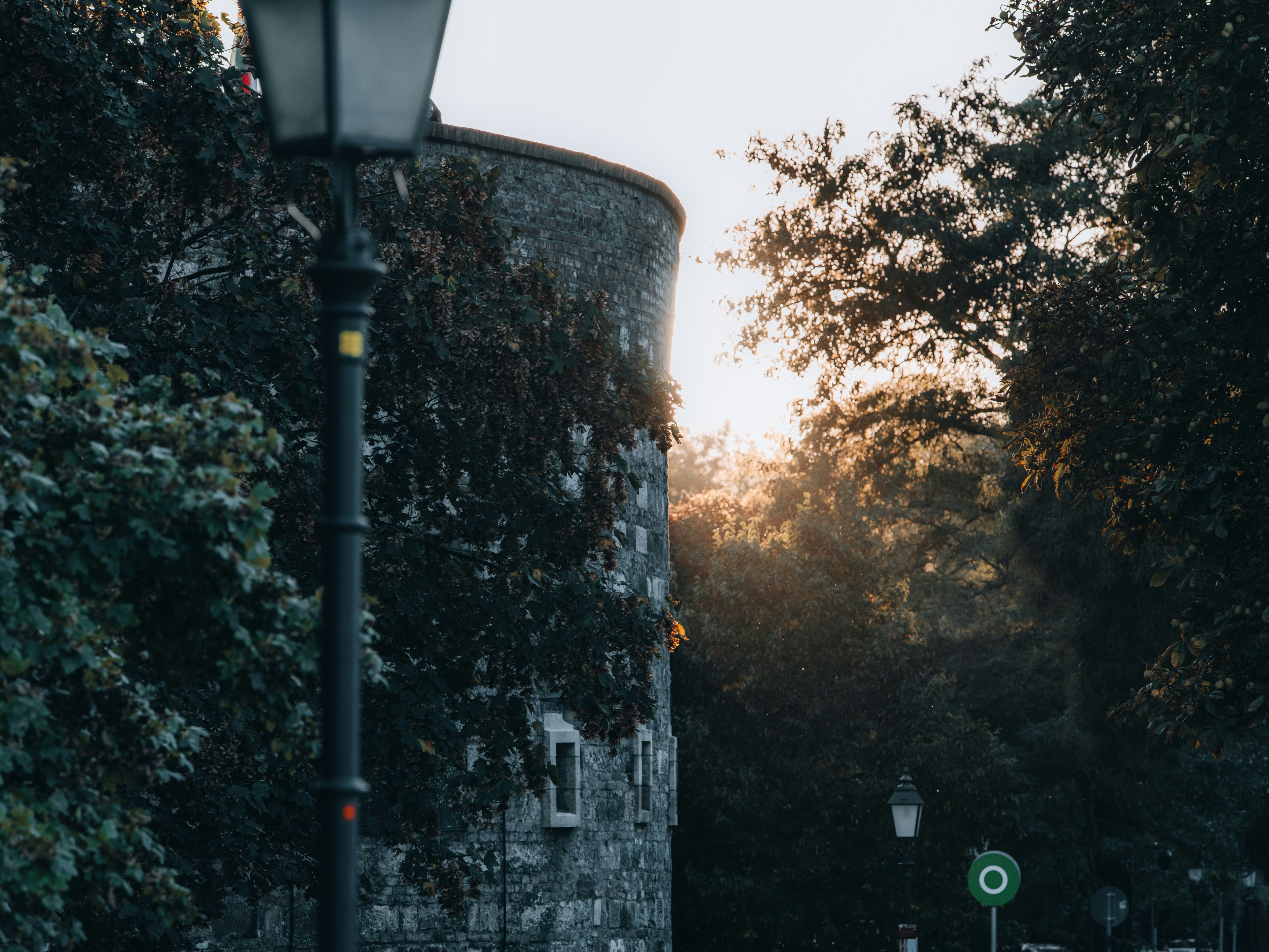 Stone tower covered in ivy with sunset light through trees.