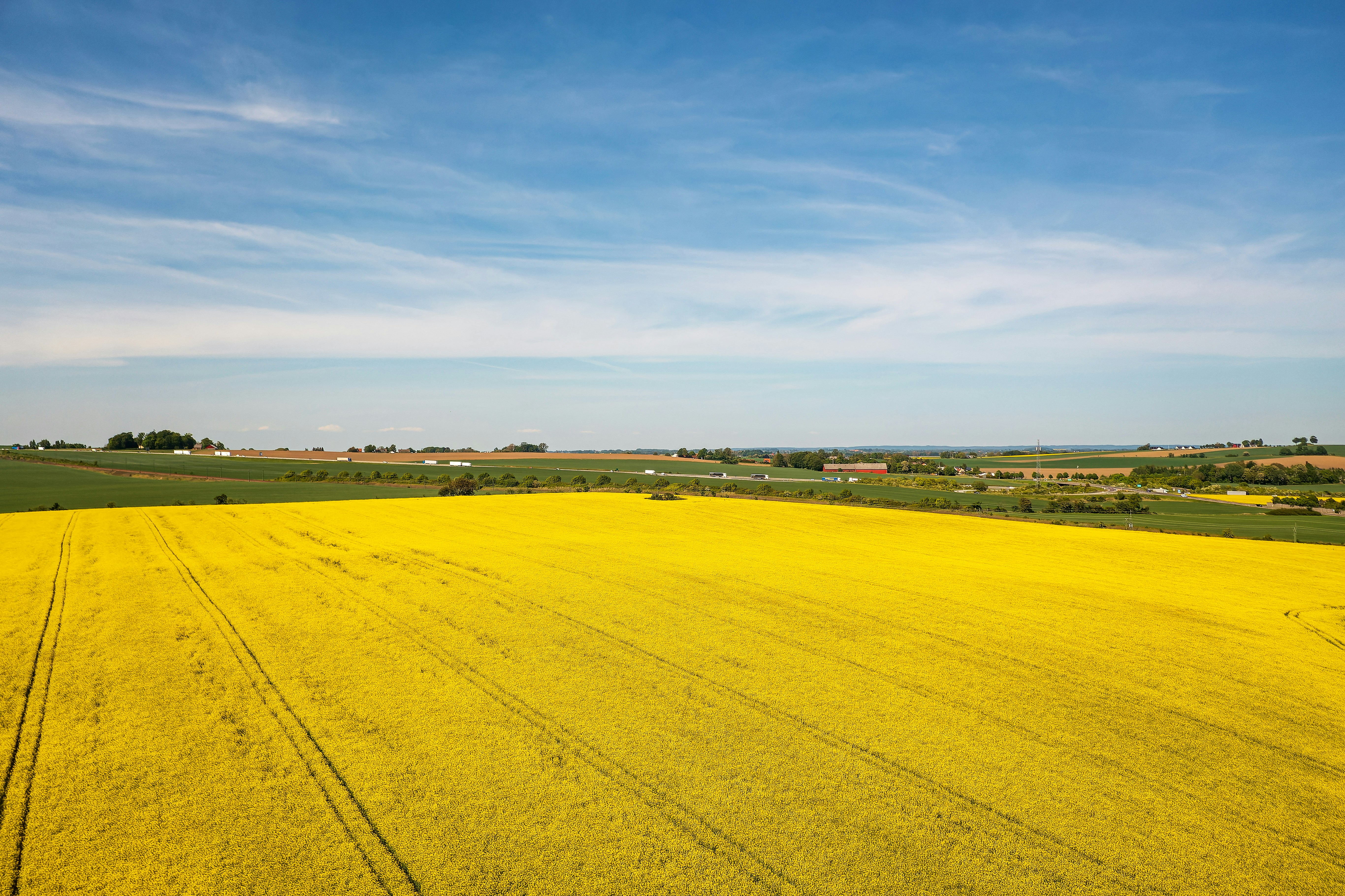 Photo by rasmusandersen