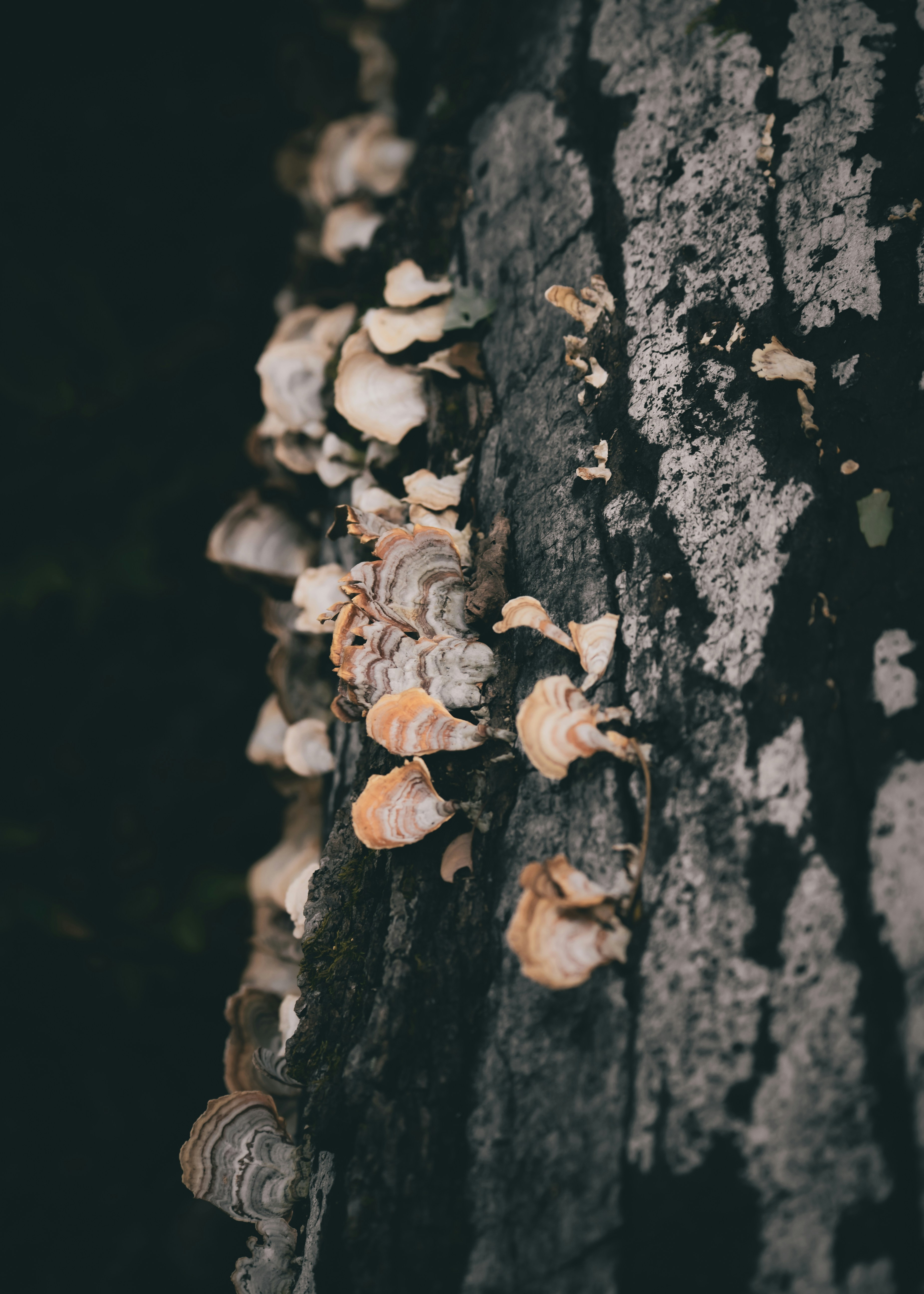 Photo by fieldworkframes